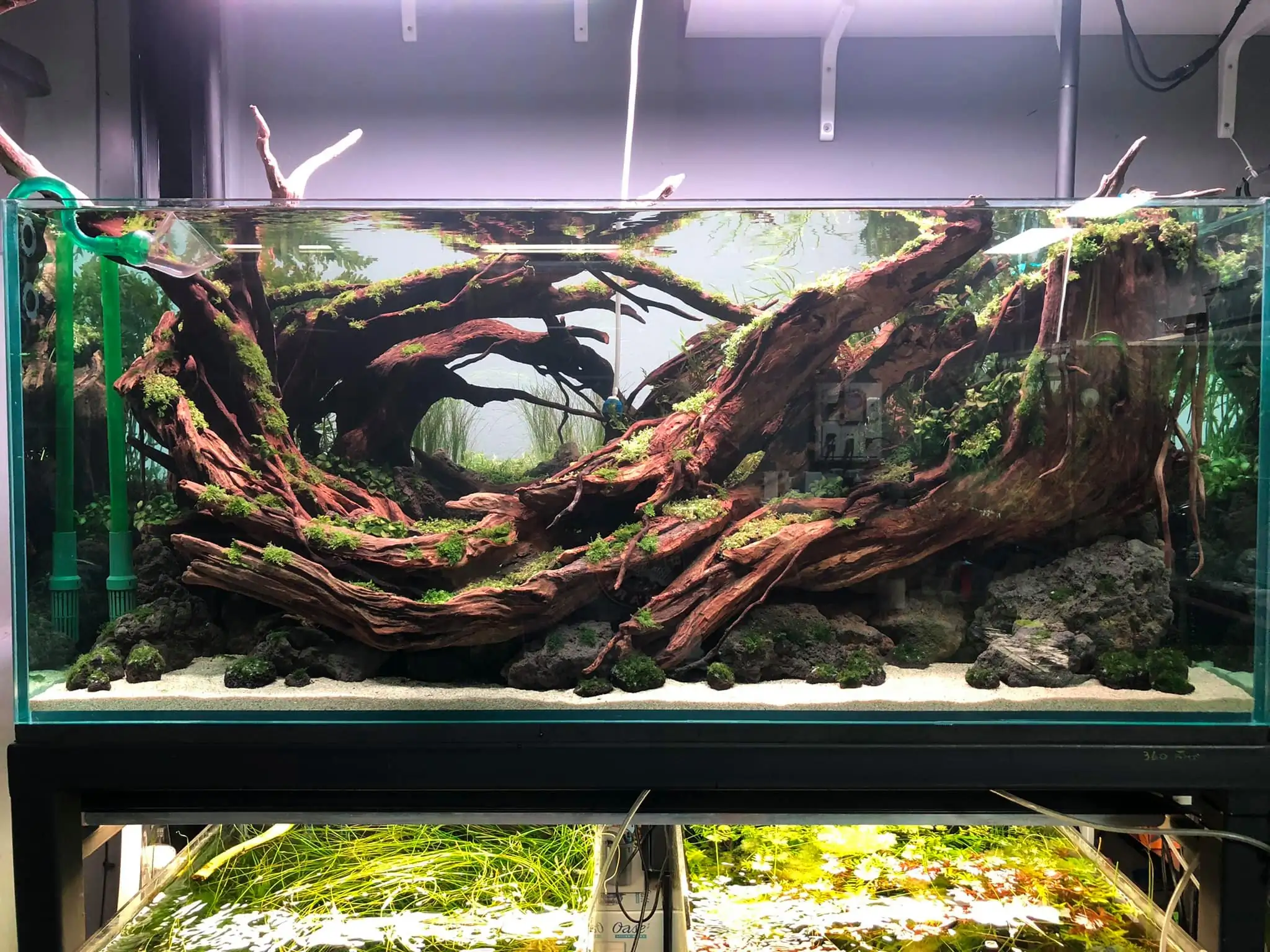 Steps progression IAPLC 2021 Rank 04 - Revolve pluse - Eakthanat Isarathikul / Thailand