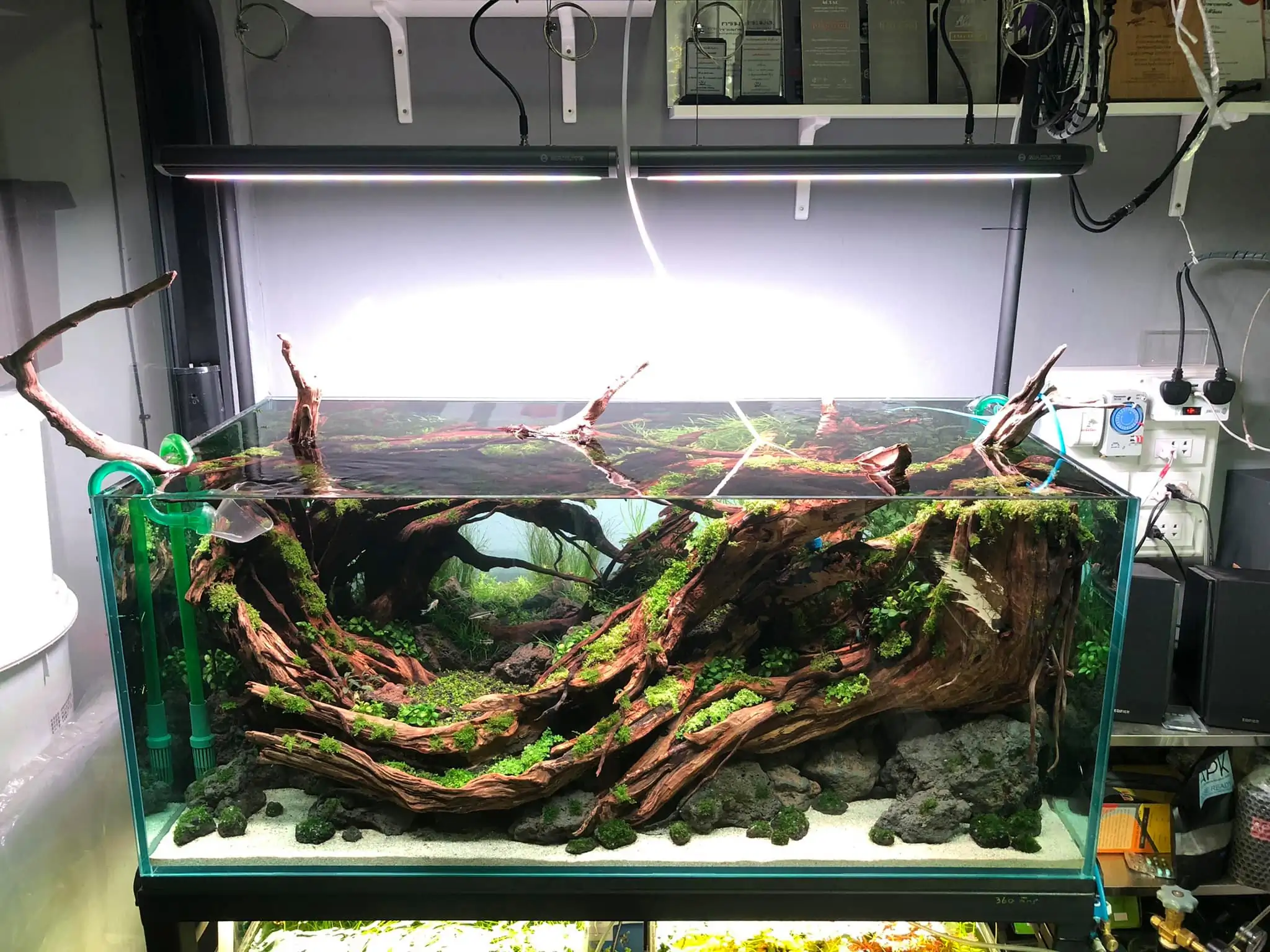 Steps progression IAPLC 2021 Rank 04 - Revolve pluse - Eakthanat Isarathikul / Thailand