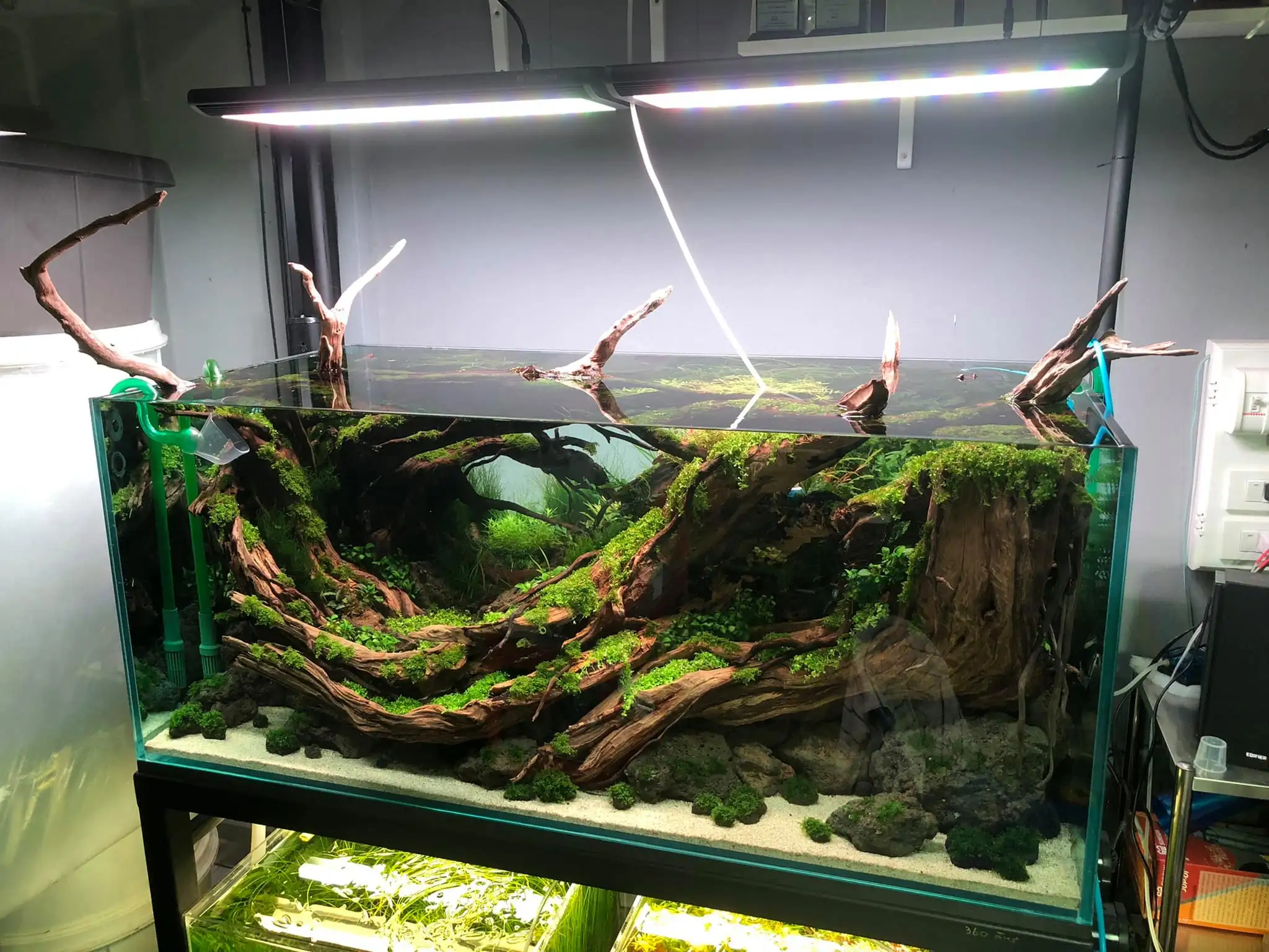 Steps progression IAPLC 2021 Rank 04 - Revolve pluse - Eakthanat Isarathikul / Thailand