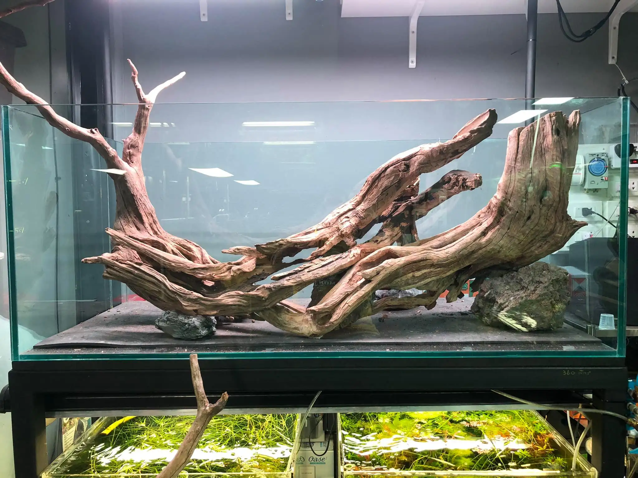 Steps progression IAPLC 2021 Rank 04 - Revolve pluse - Eakthanat Isarathikul / Thailand