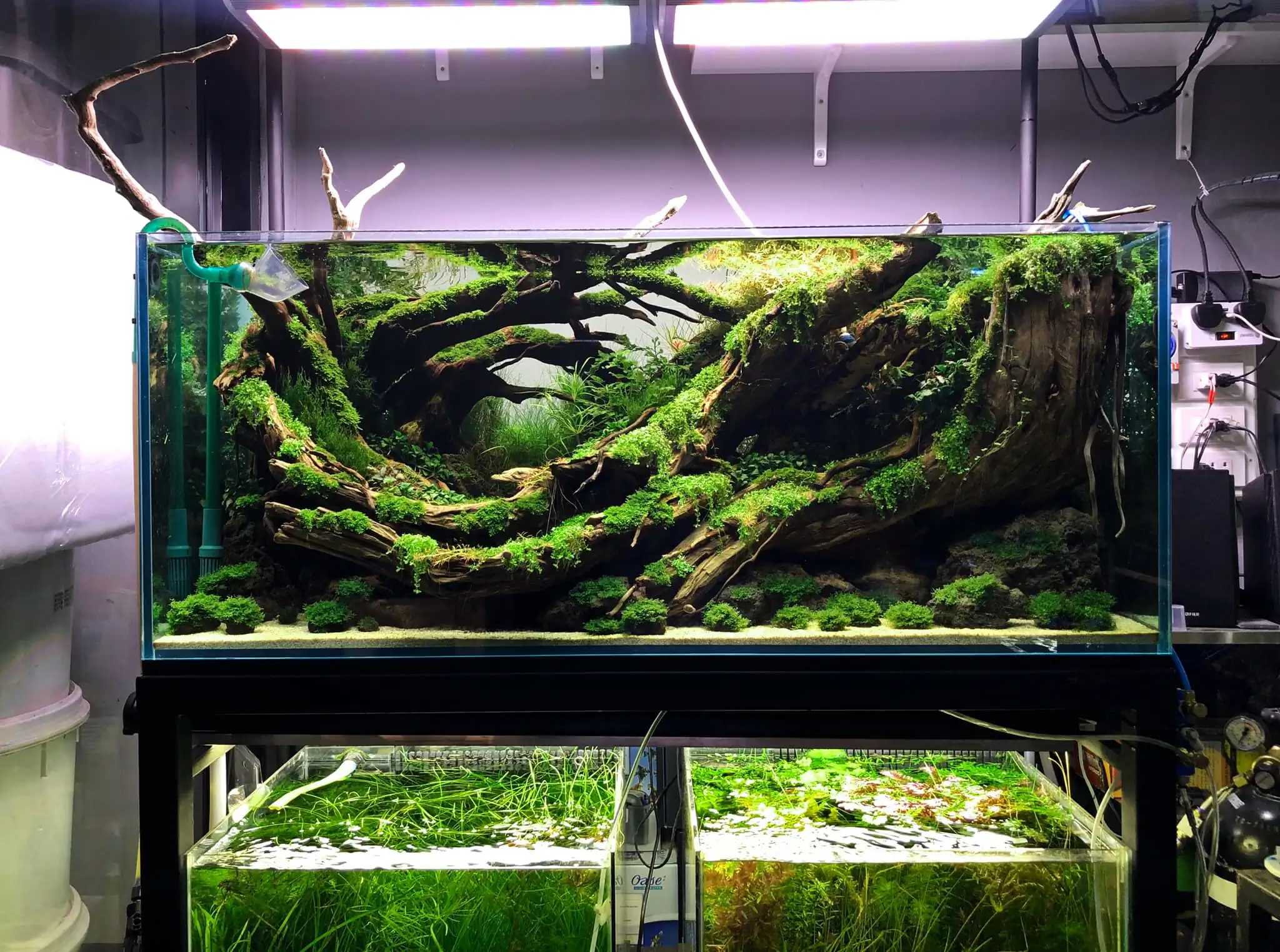 Steps progression IAPLC 2021 Rank 04 - Revolve pluse - Eakthanat Isarathikul / Thailand