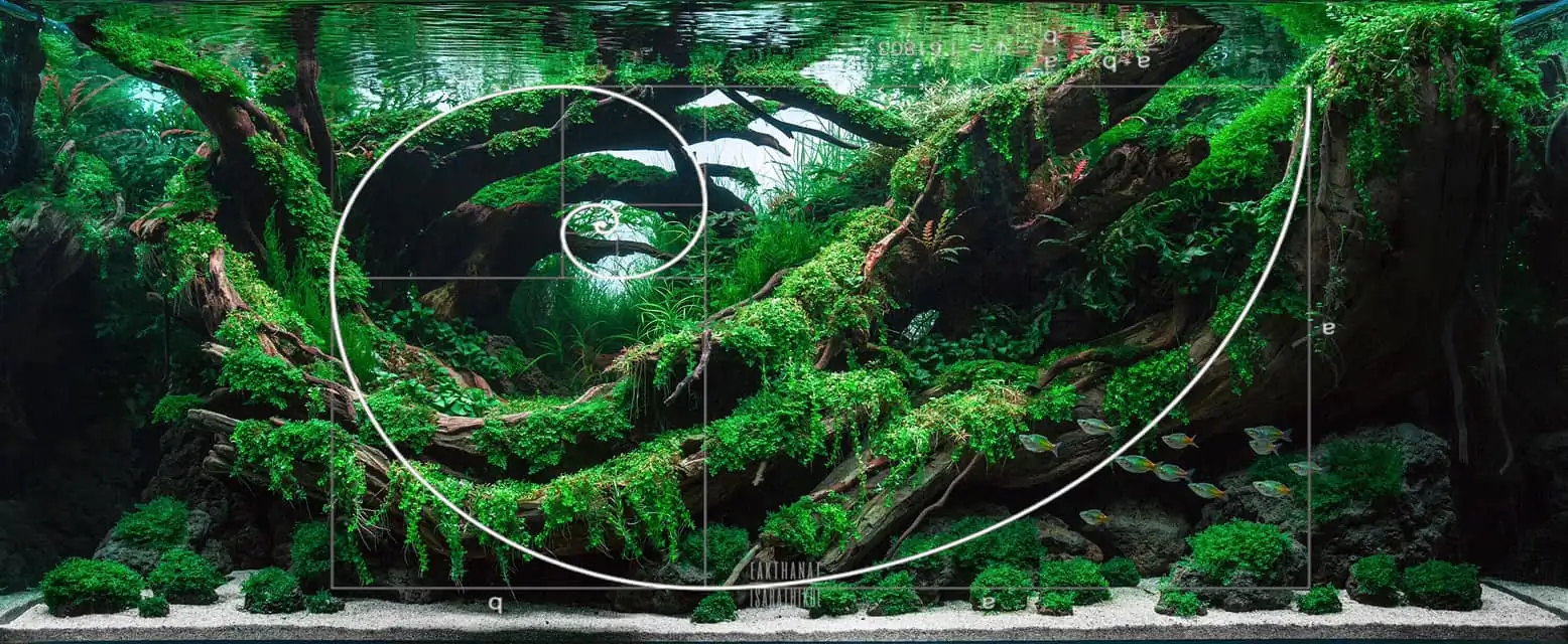 Steps progression IAPLC 2021 Rank 04 - Revolve pluse - Eakthanat Isarathikul / Thailand