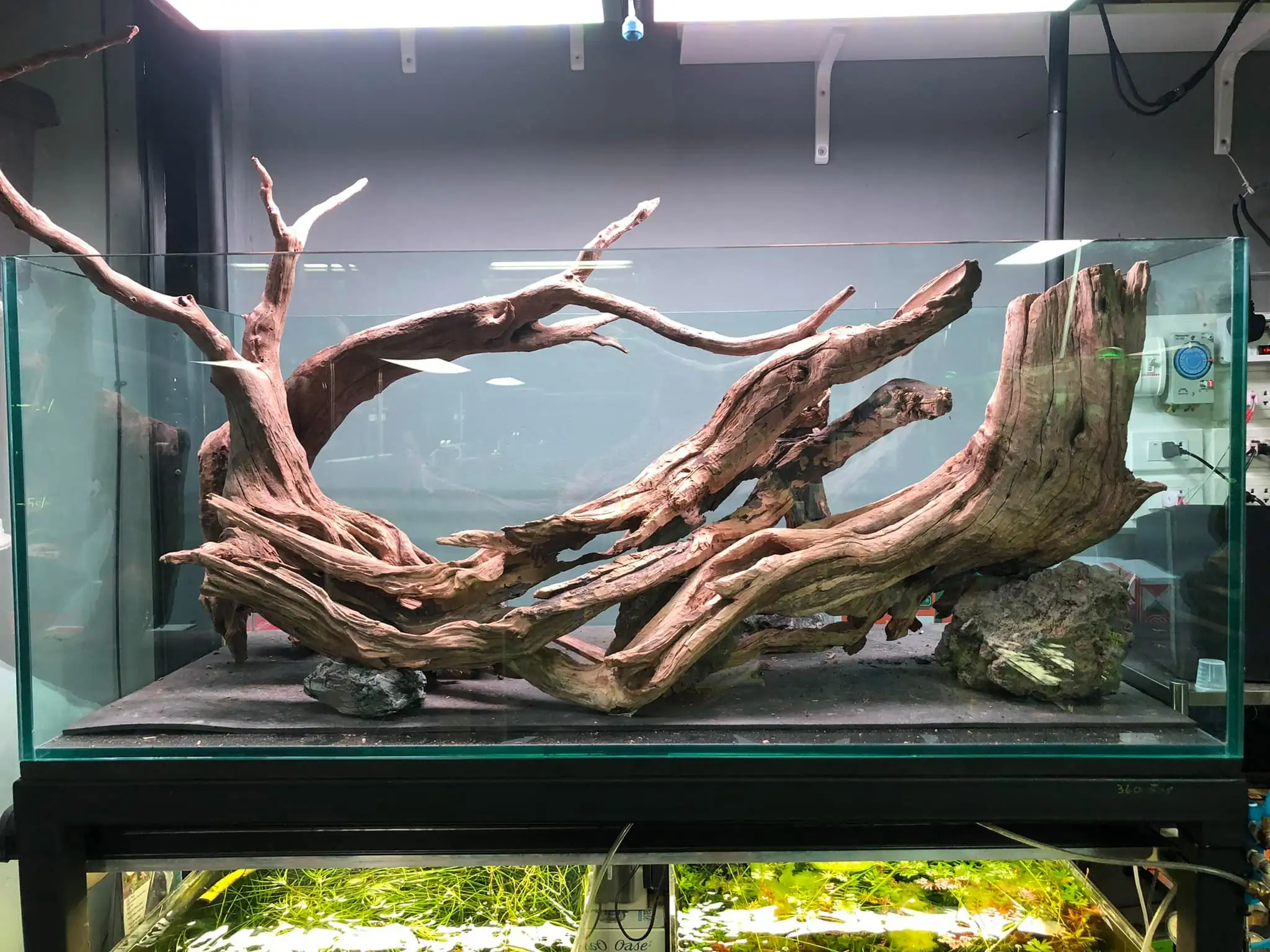 Steps progression IAPLC 2021 Rank 04 - Revolve pluse - Eakthanat Isarathikul / Thailand