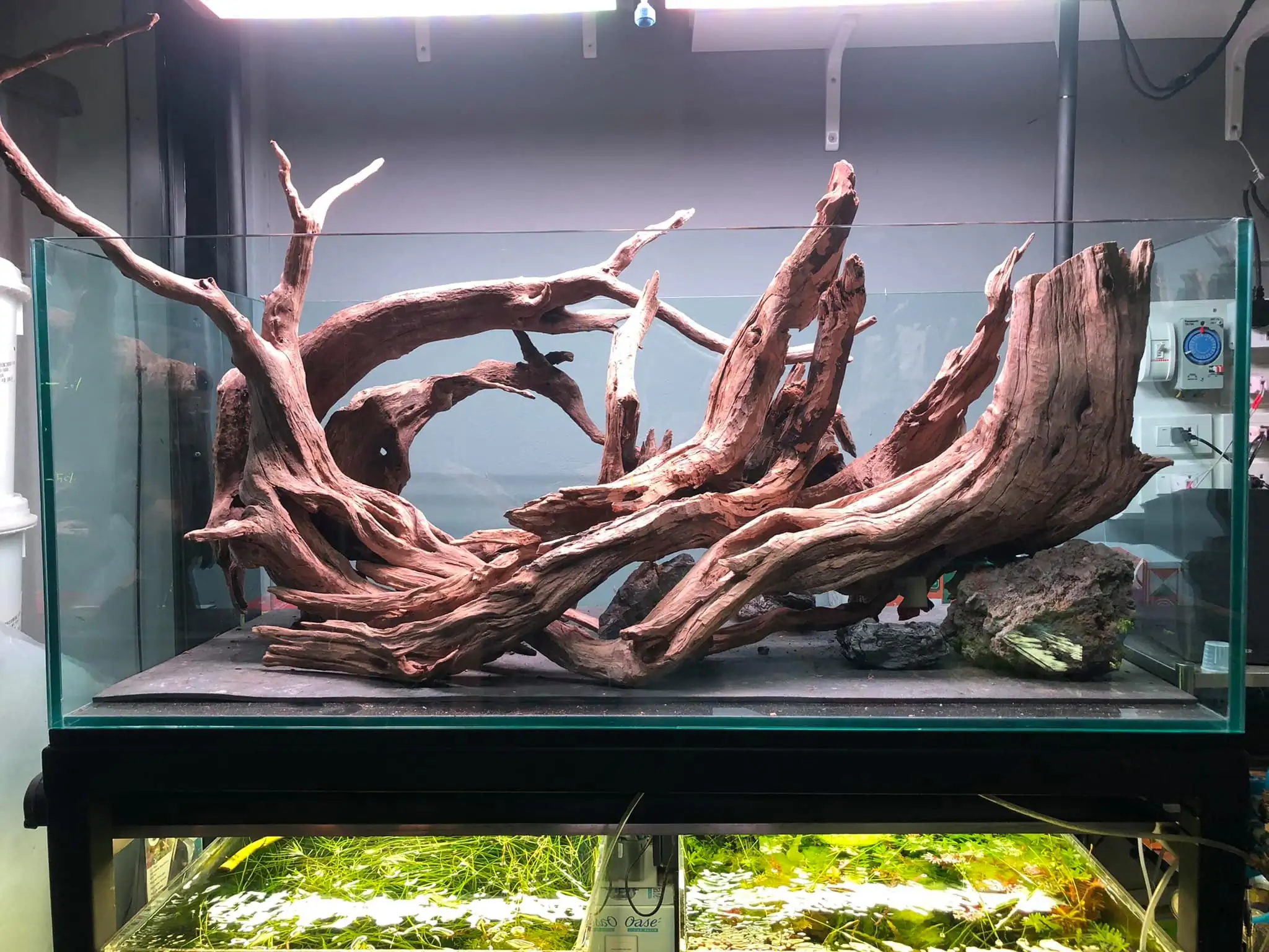 Steps progression IAPLC 2021 Rank 04 - Revolve pluse - Eakthanat Isarathikul / Thailand