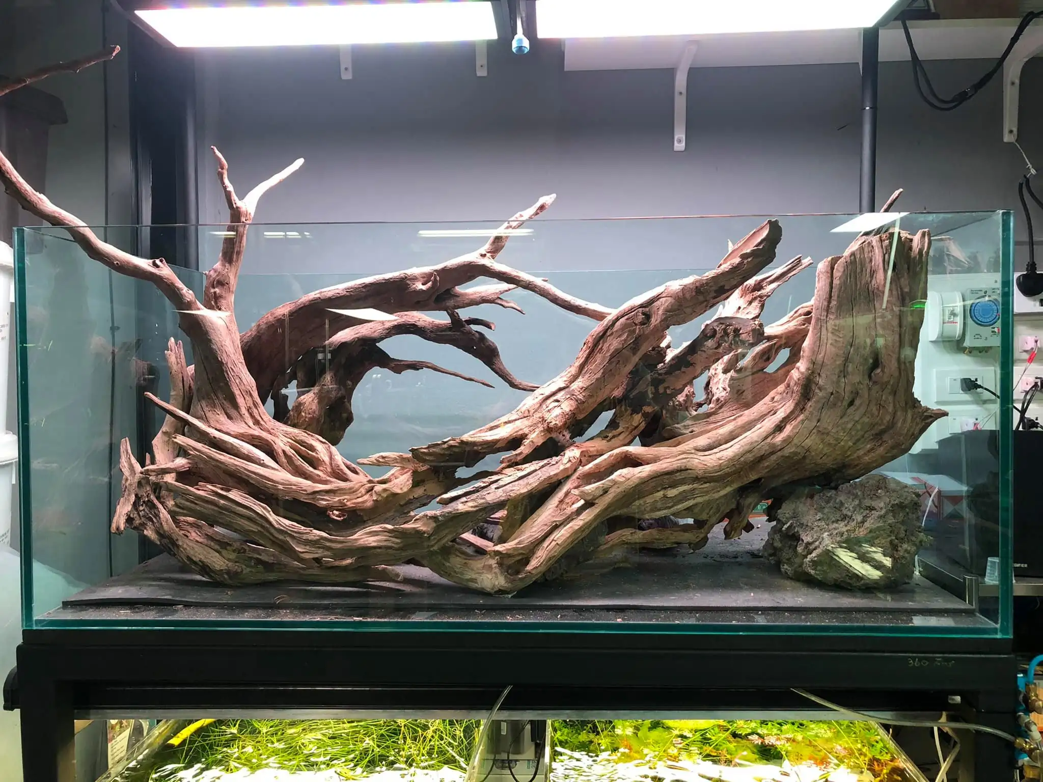 Steps progression IAPLC 2021 Rank 04 - Revolve pluse - Eakthanat Isarathikul / Thailand