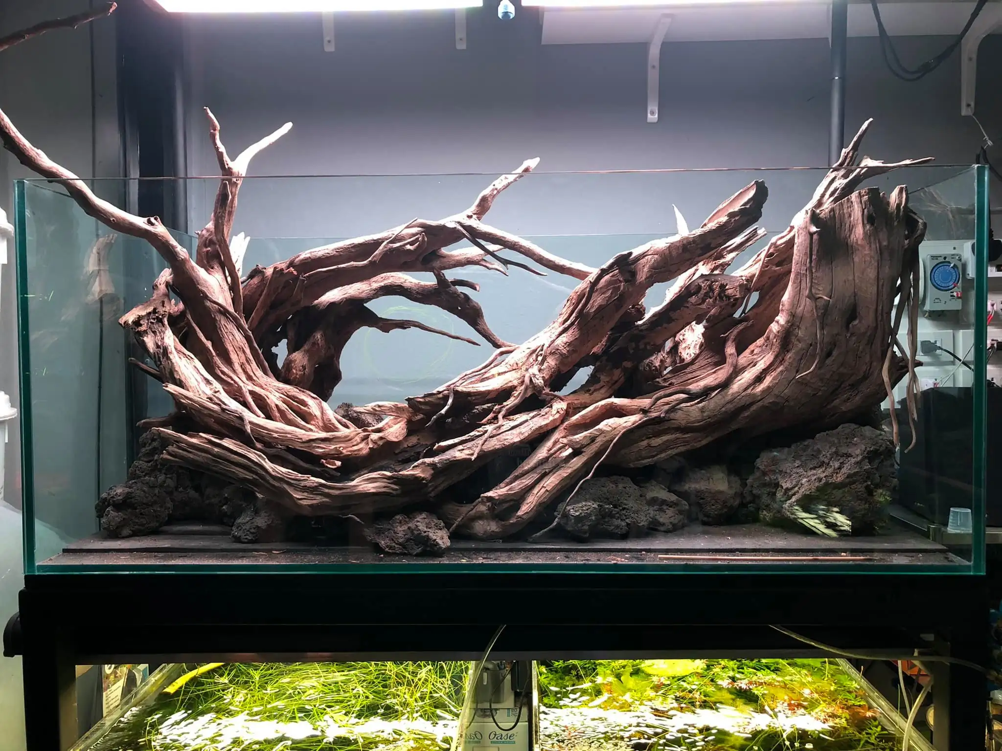 Steps progression IAPLC 2021 Rank 04 - Revolve pluse - Eakthanat Isarathikul / Thailand