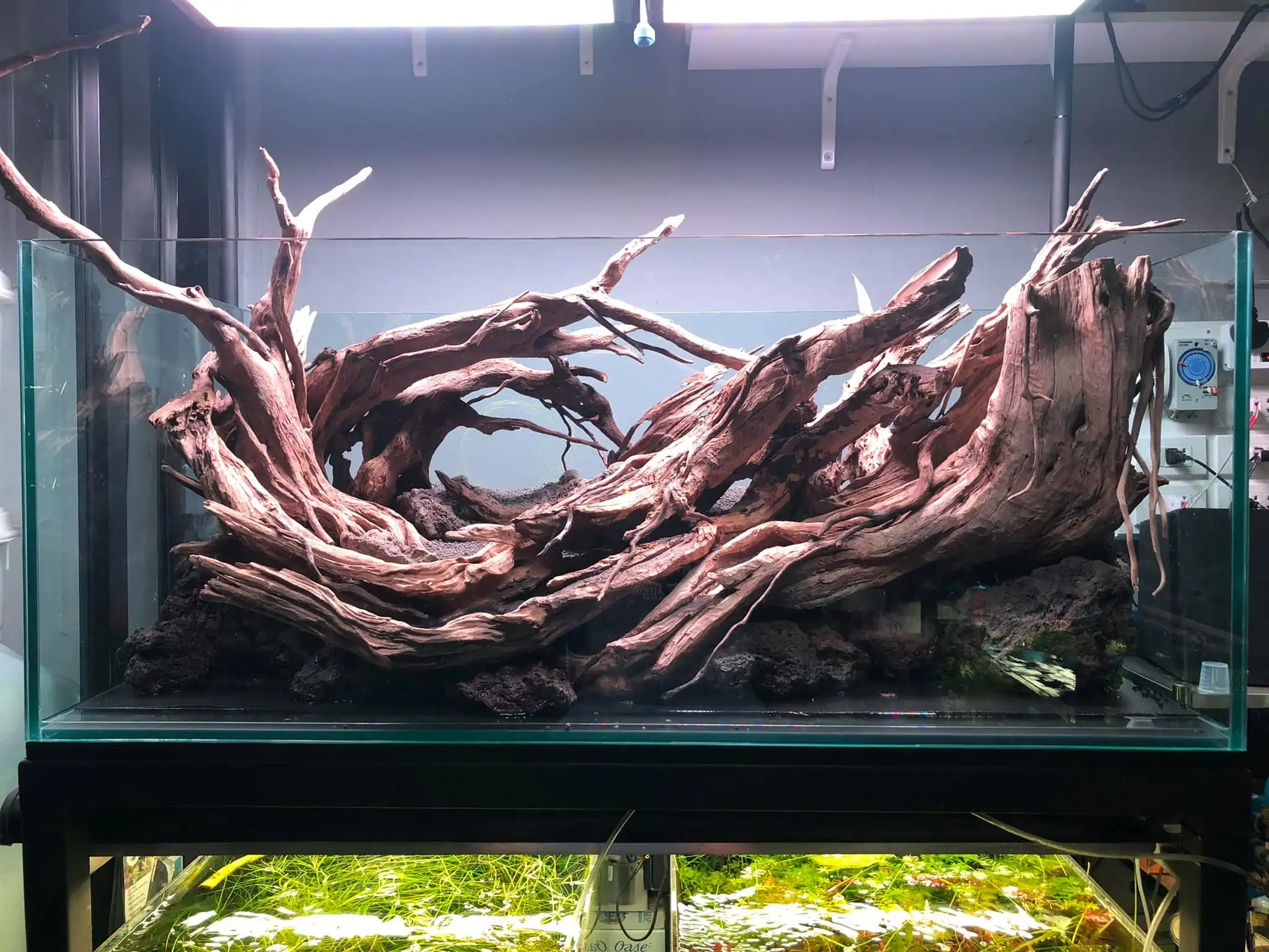 Steps progression IAPLC 2021 Rank 04 - Revolve pluse - Eakthanat Isarathikul / Thailand