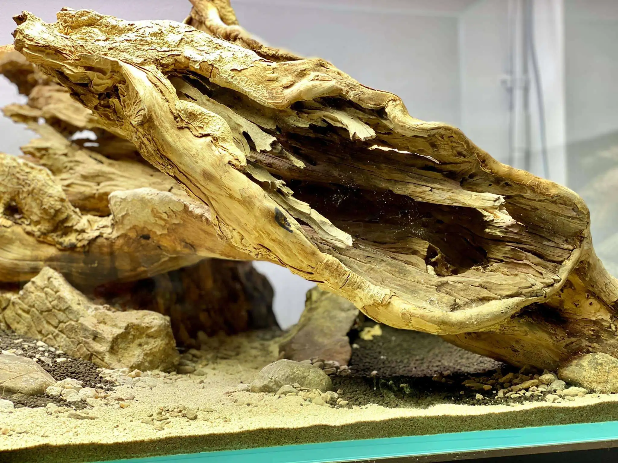 Step by step progression IAPLC 2021 Rank 104 - Resurrection