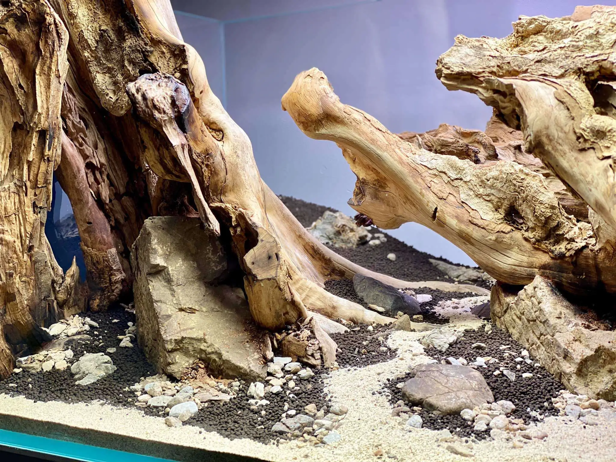 Step by step progression IAPLC 2021 Rank 104 - Resurrection