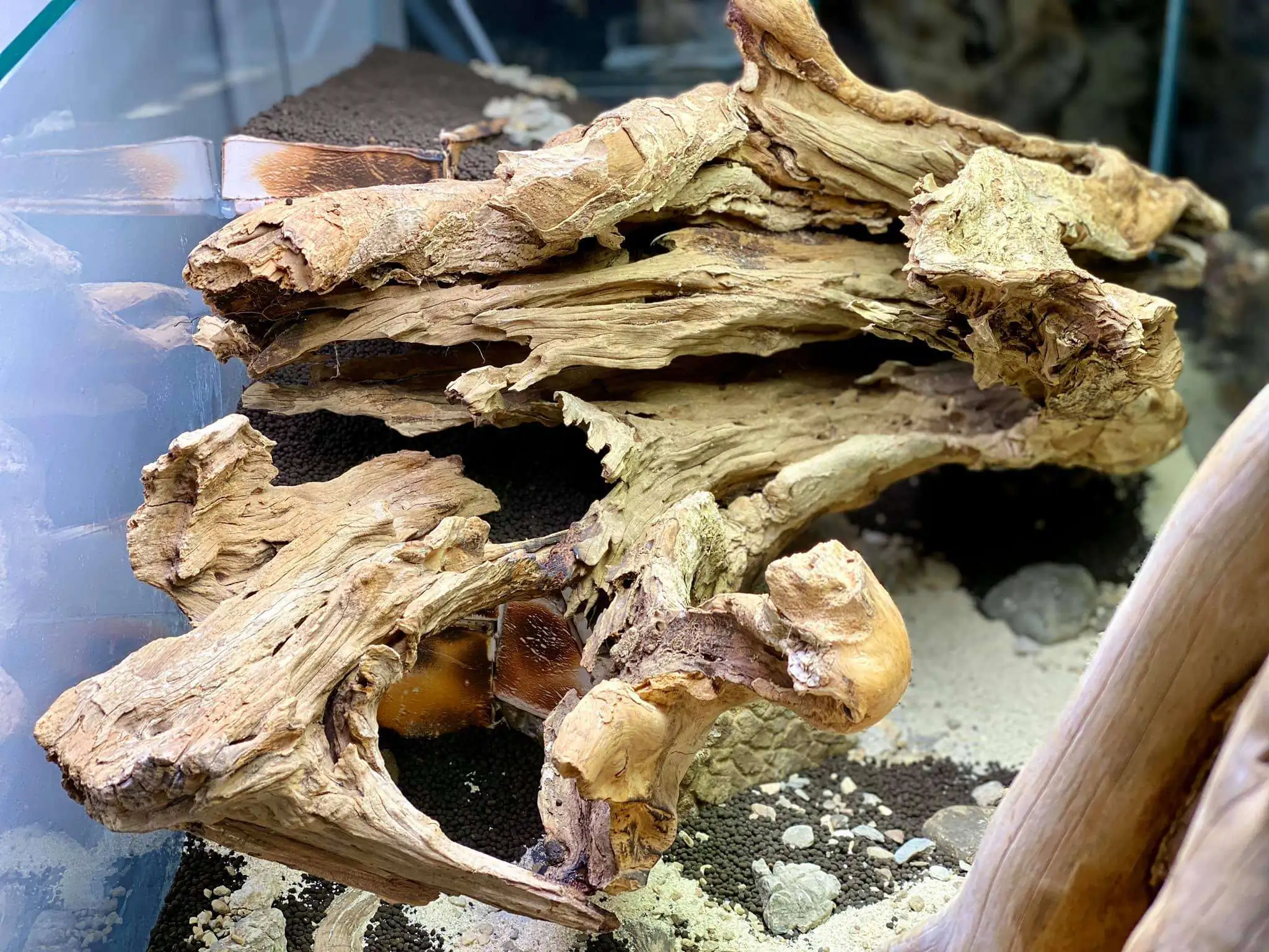 Step by step progression IAPLC 2021 Rank 104 - Resurrection