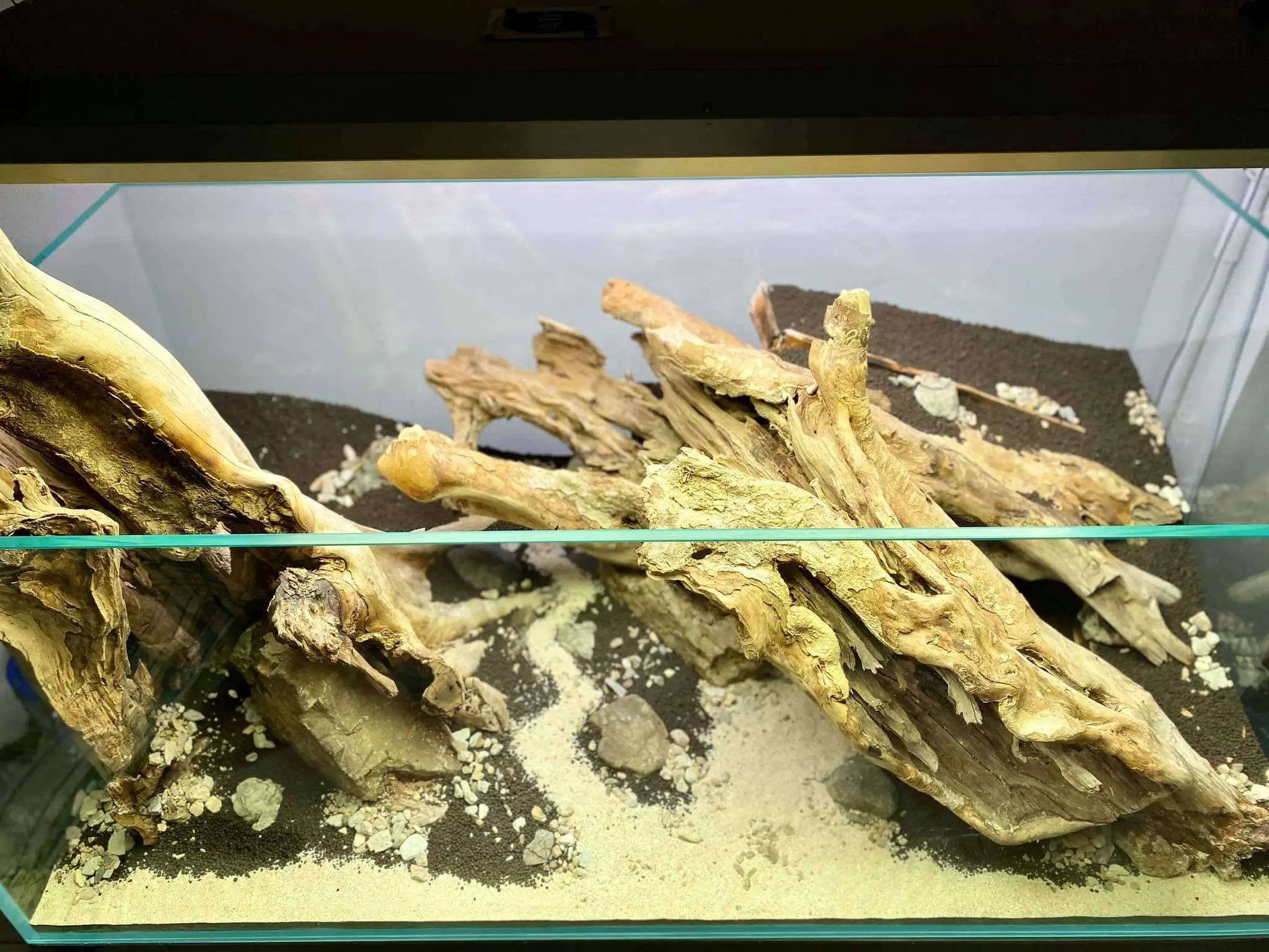 Step by step progression IAPLC 2021 Rank 104 - Resurrection