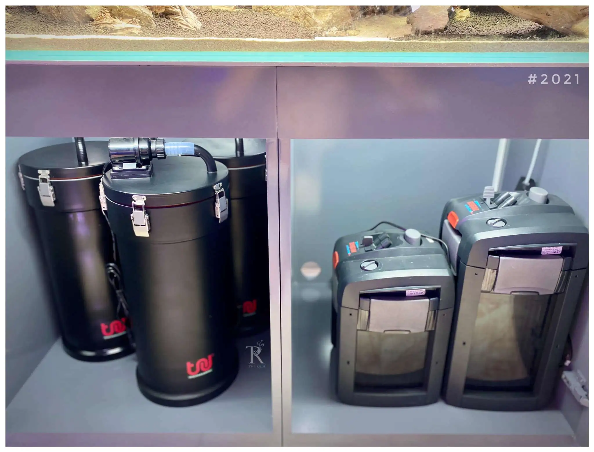 Step by step progression IAPLC 2021 Rank 104 - Resurrection