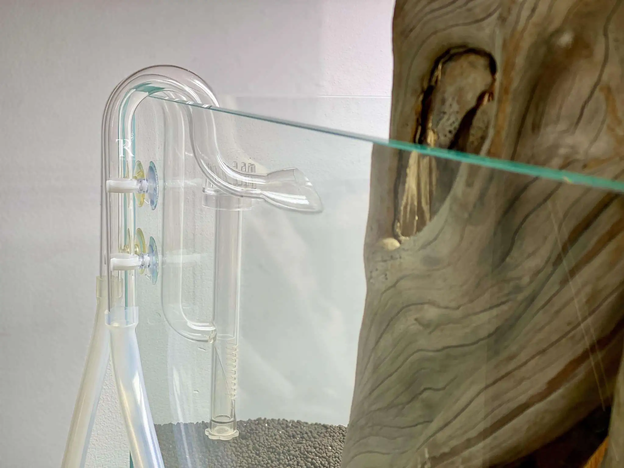 Step by step progression IAPLC 2021 Rank 104 - Resurrection