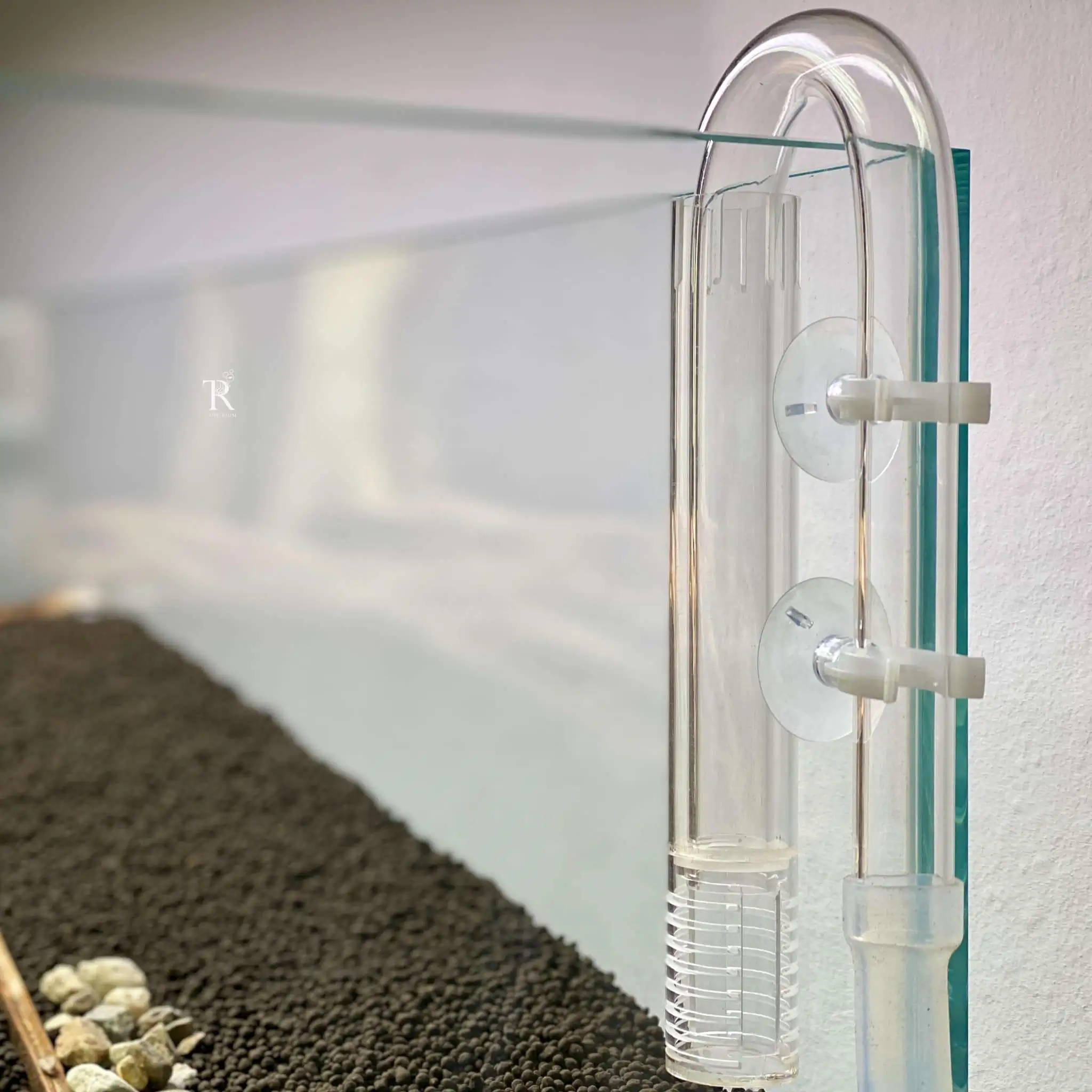 Step by step progression IAPLC 2021 Rank 104 - Resurrection