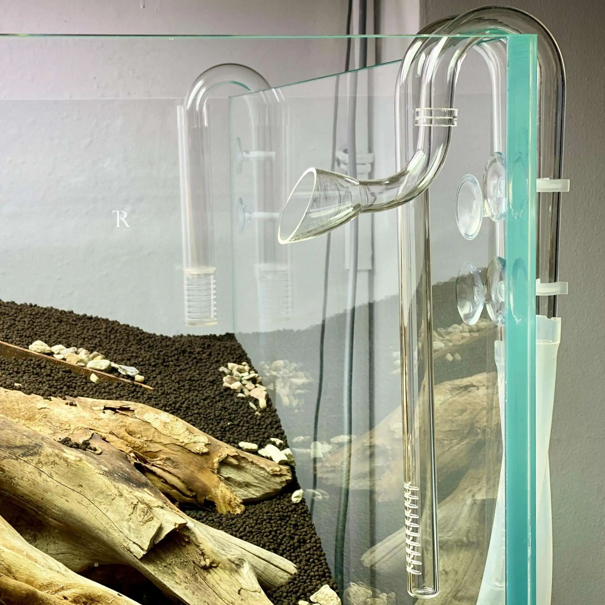 Step by step progression IAPLC 2021 Rank 104 - Resurrection