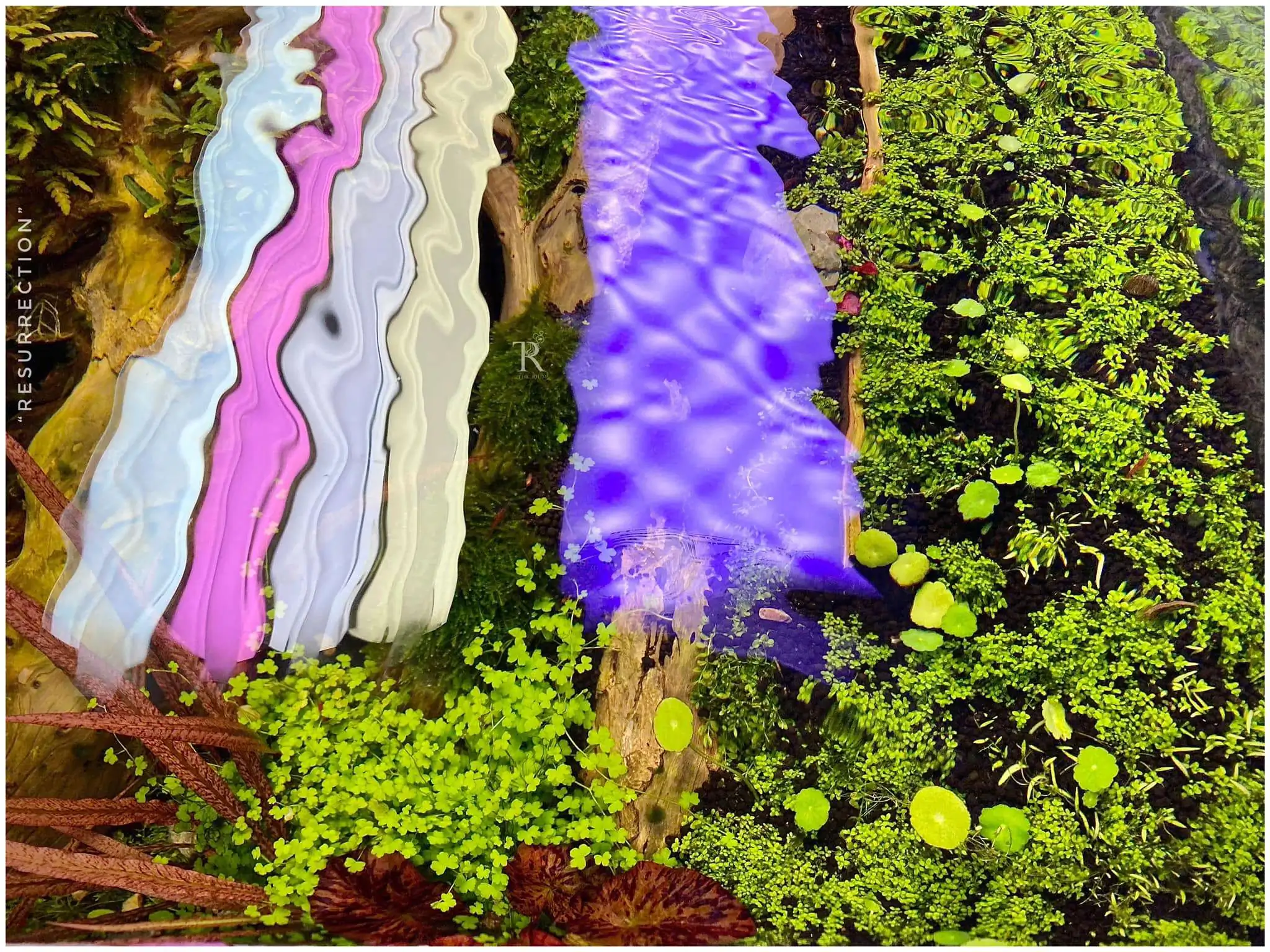 Step by step progression IAPLC 2021 Rank 104 - Resurrection