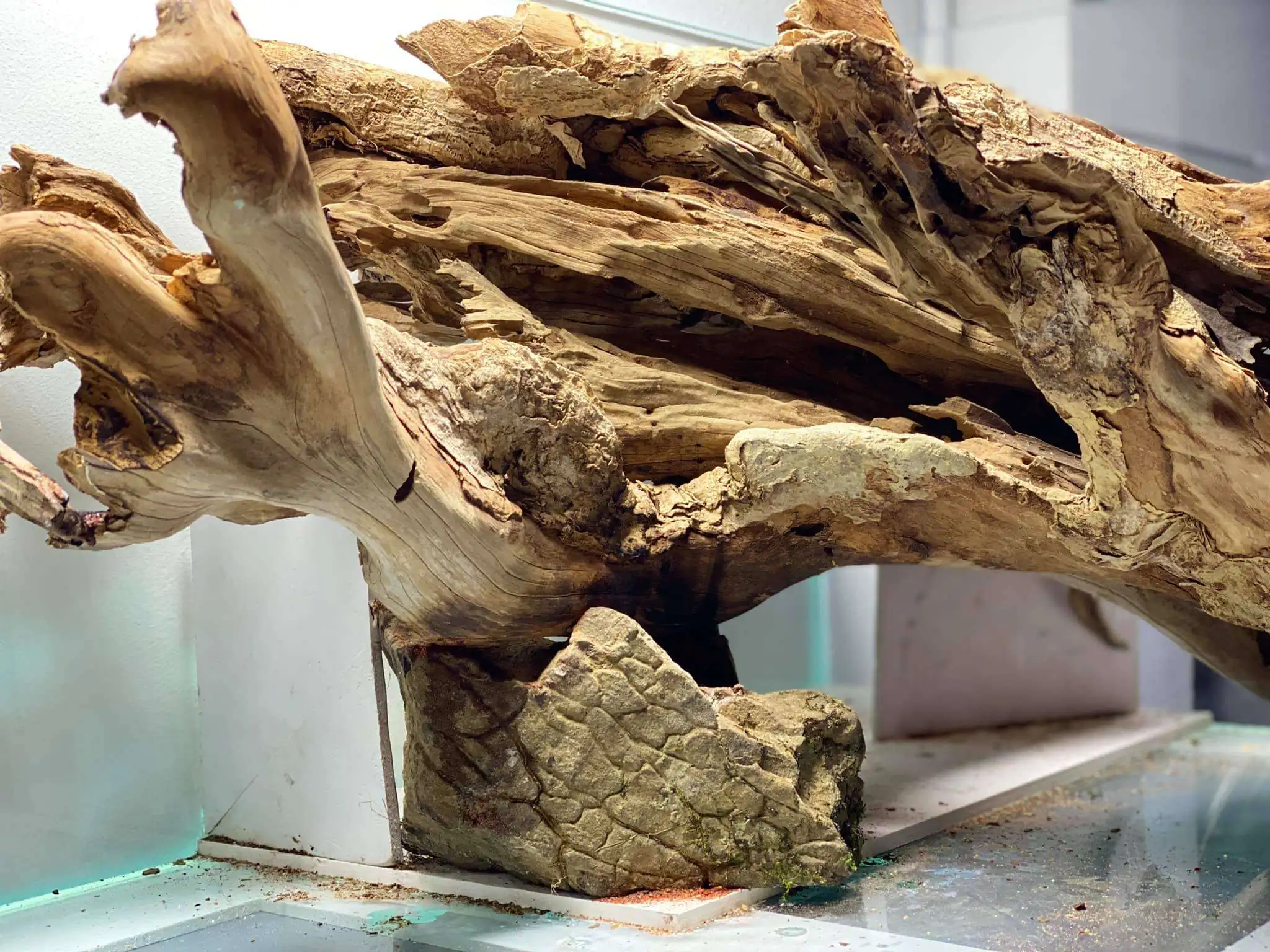 Step by step progression IAPLC 2021 Rank 104 - Resurrection