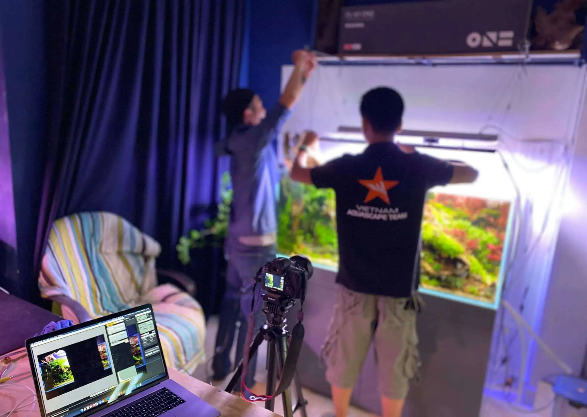 Step by step progression IAPLC 2021 Rank 104 - Resurrection