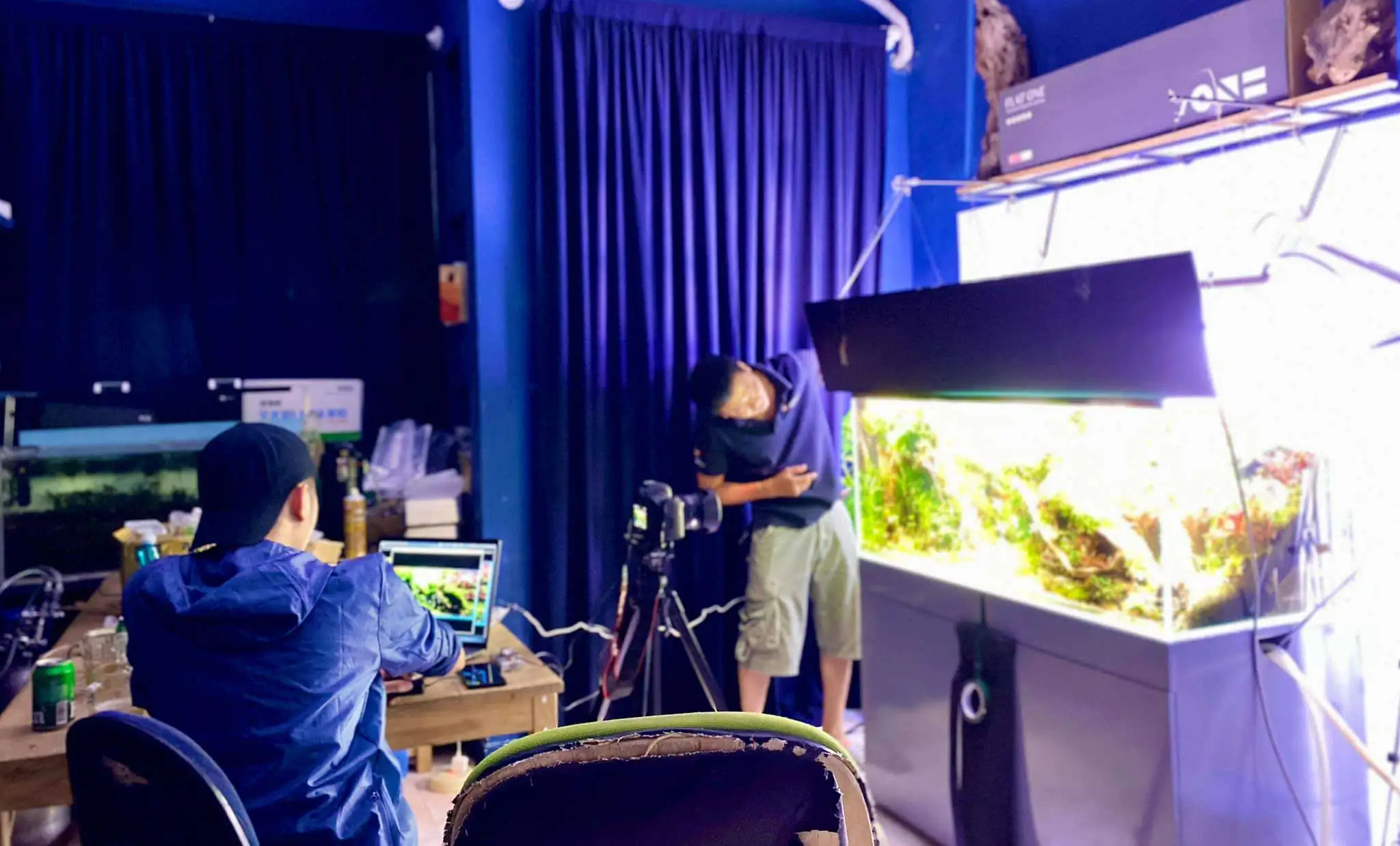 Step by step progression IAPLC 2021 Rank 104 - Resurrection