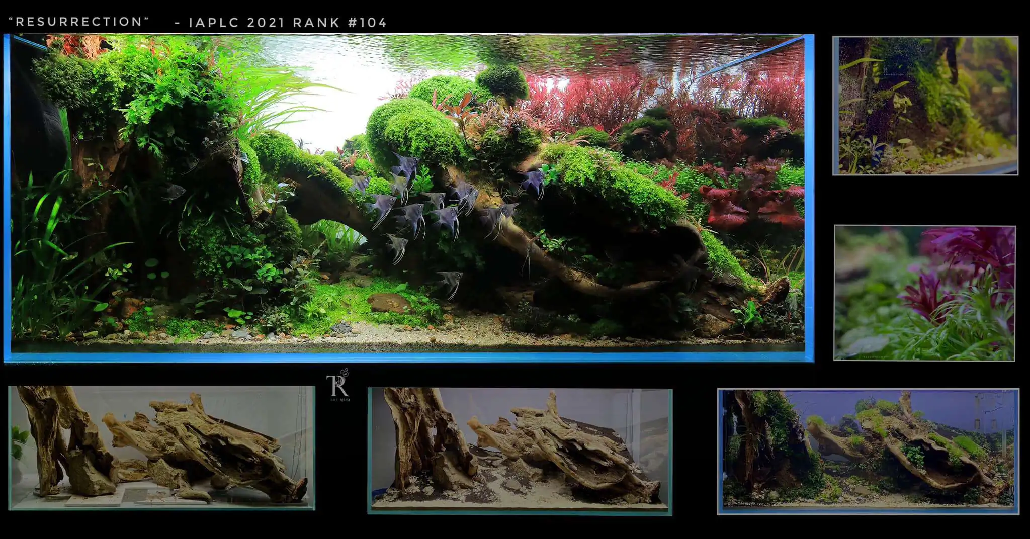 Step by step progression IAPLC 2021 Rank 104 - Resurrection