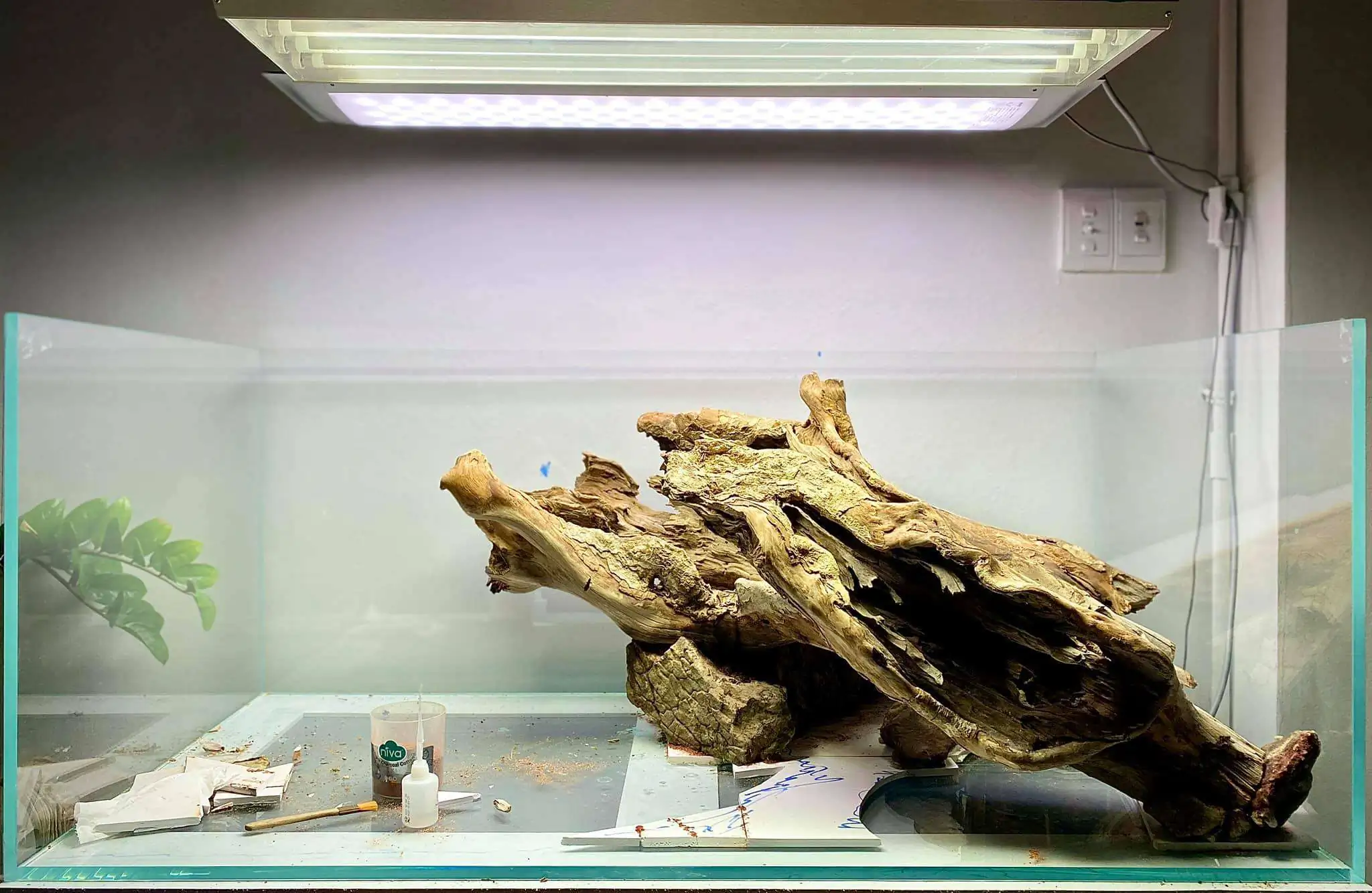 Step by step progression IAPLC 2021 Rank 104 - Resurrection