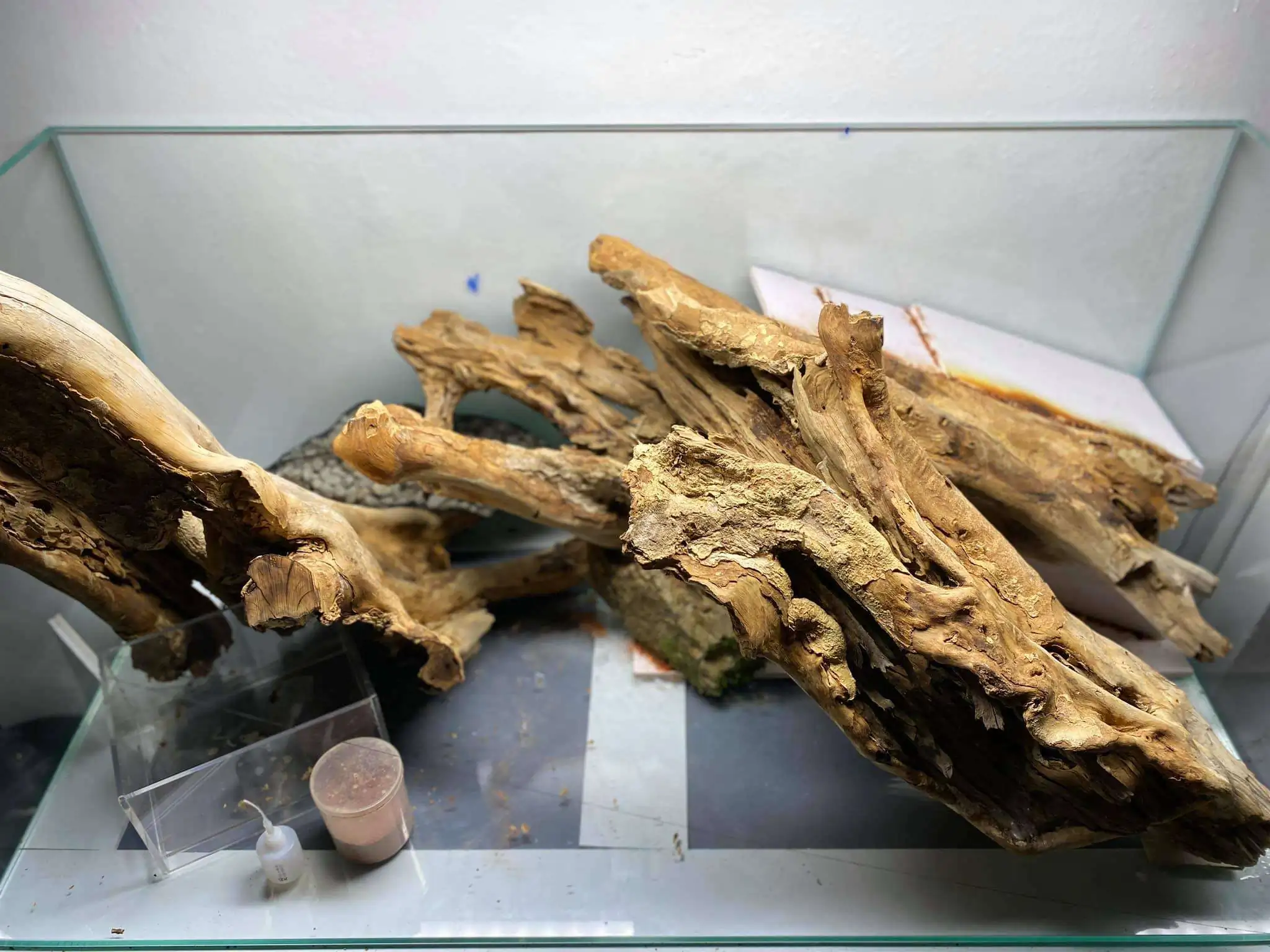 Step by step progression IAPLC 2021 Rank 104 - Resurrection