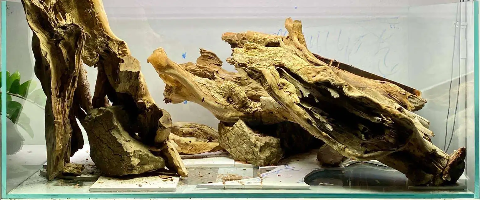 Step by step progression IAPLC 2021 Rank 104 - Resurrection