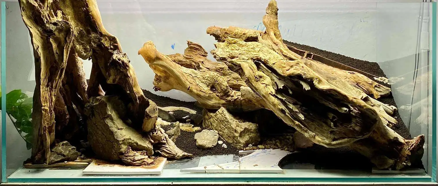 Step by step progression IAPLC 2021 Rank 104 - Resurrection