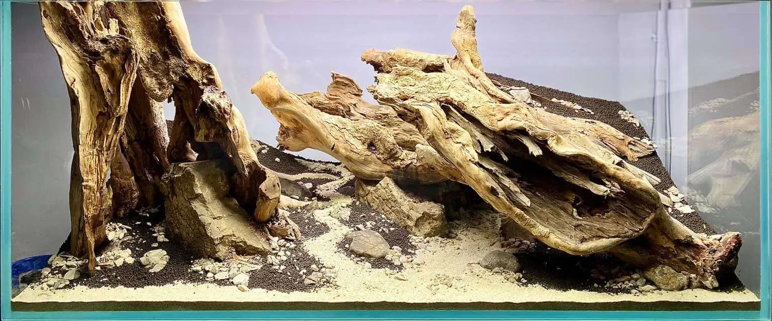 Step by step progression IAPLC 2021 Rank 104 - Resurrection