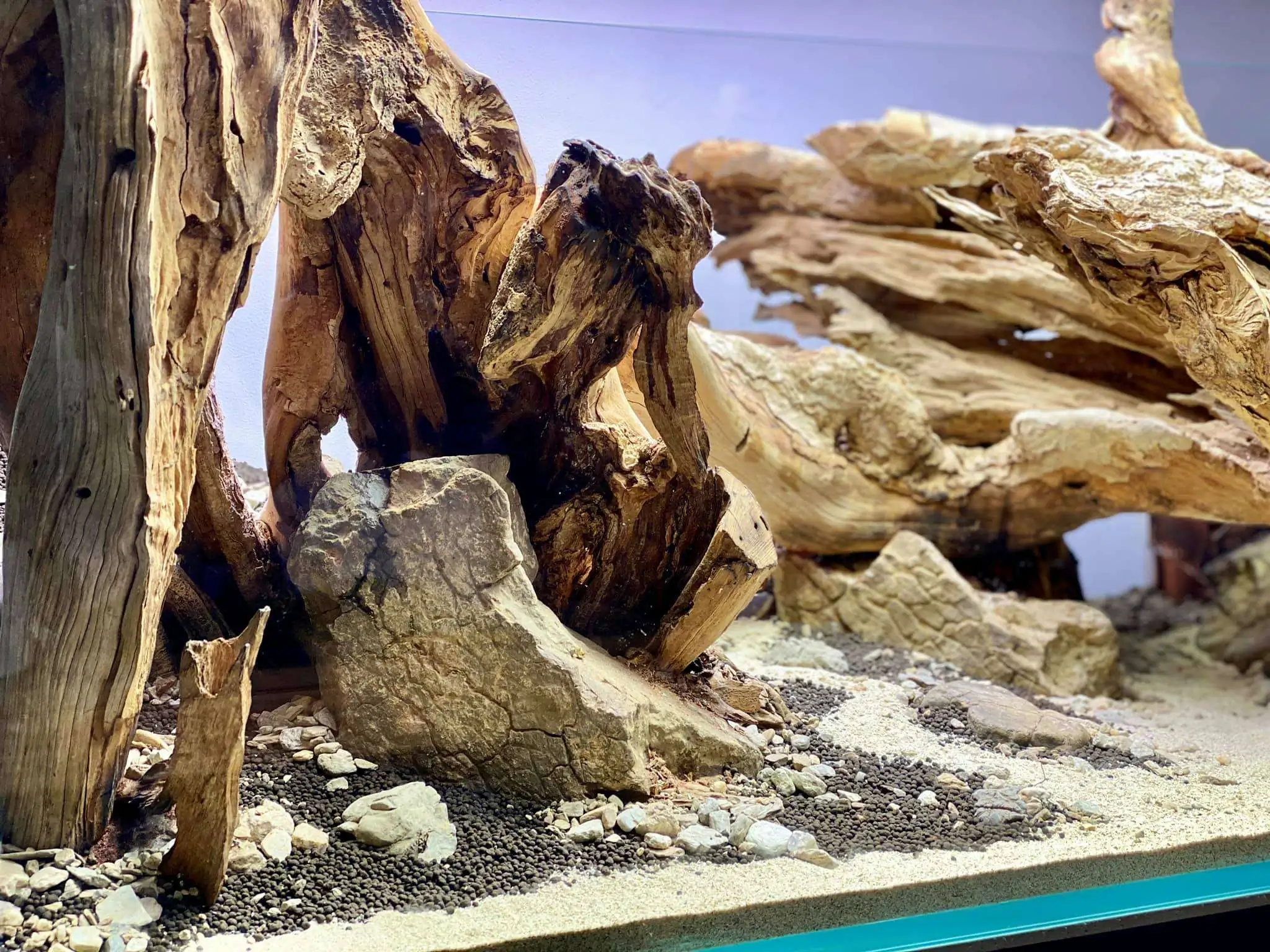 Step by step progression IAPLC 2021 Rank 104 - Resurrection