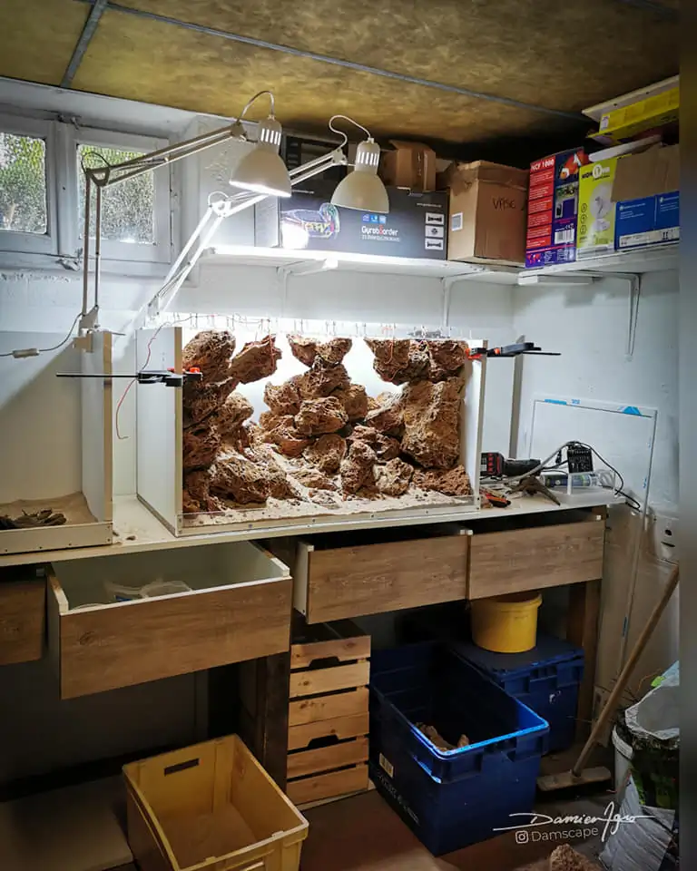 How to make nature aquarium - IAPLC 2021 Rank 342