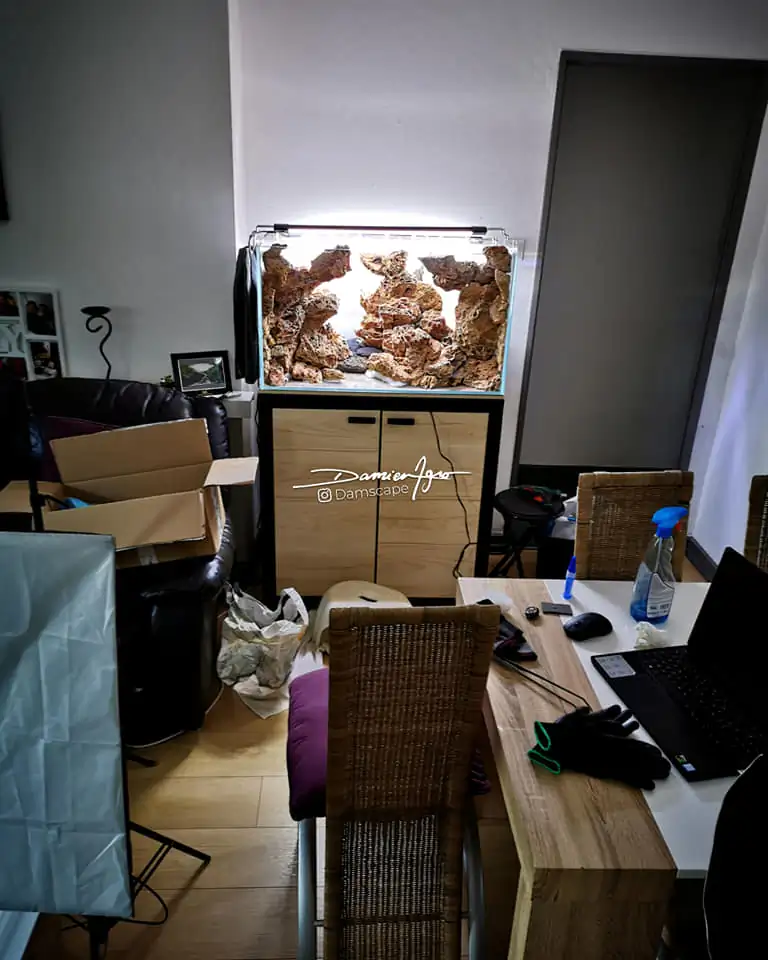 How to make nature aquarium - IAPLC 2021 Rank 342