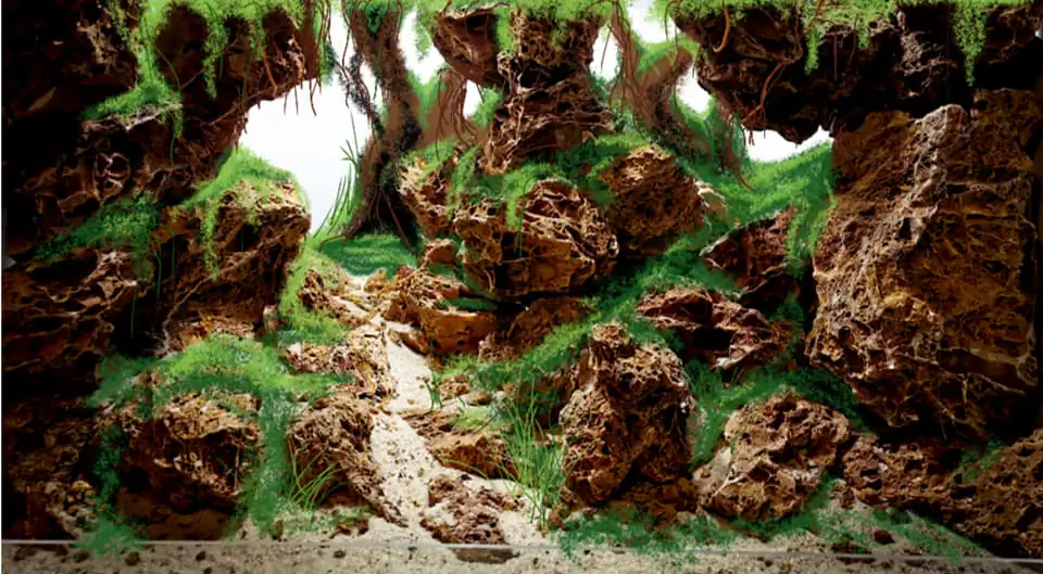 How to make nature aquarium - IAPLC 2021 Rank 342