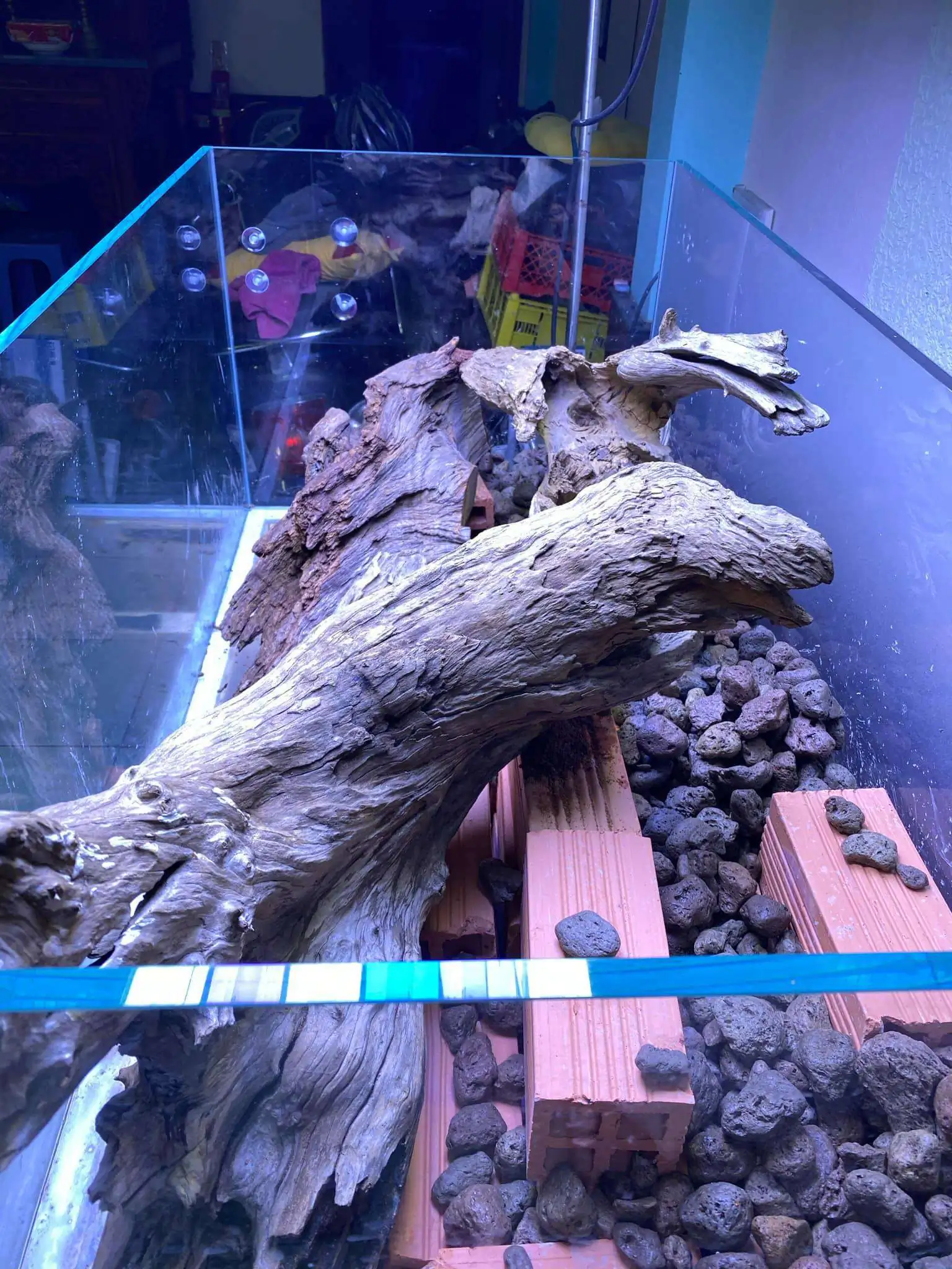 Step by step progression IAPLC 2021 Rank 74 - Go with the flow