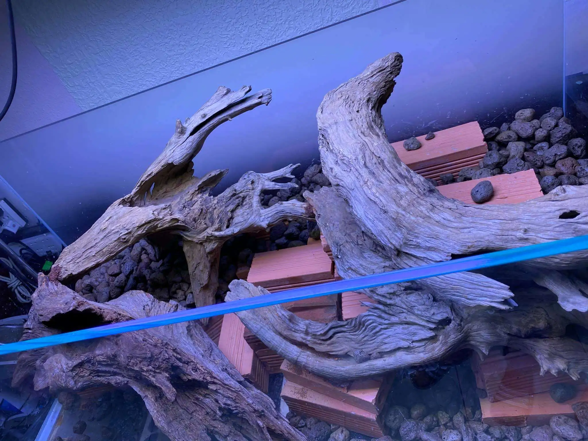 Step by step progression IAPLC 2021 Rank 74 - Go with the flow