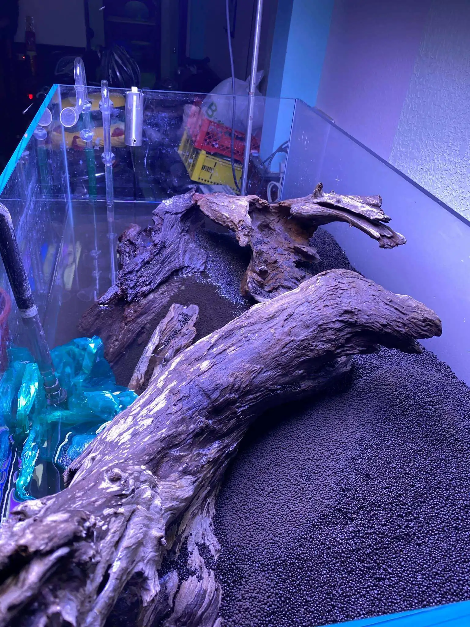 Step by step progression IAPLC 2021 Rank 74 - Go with the flow