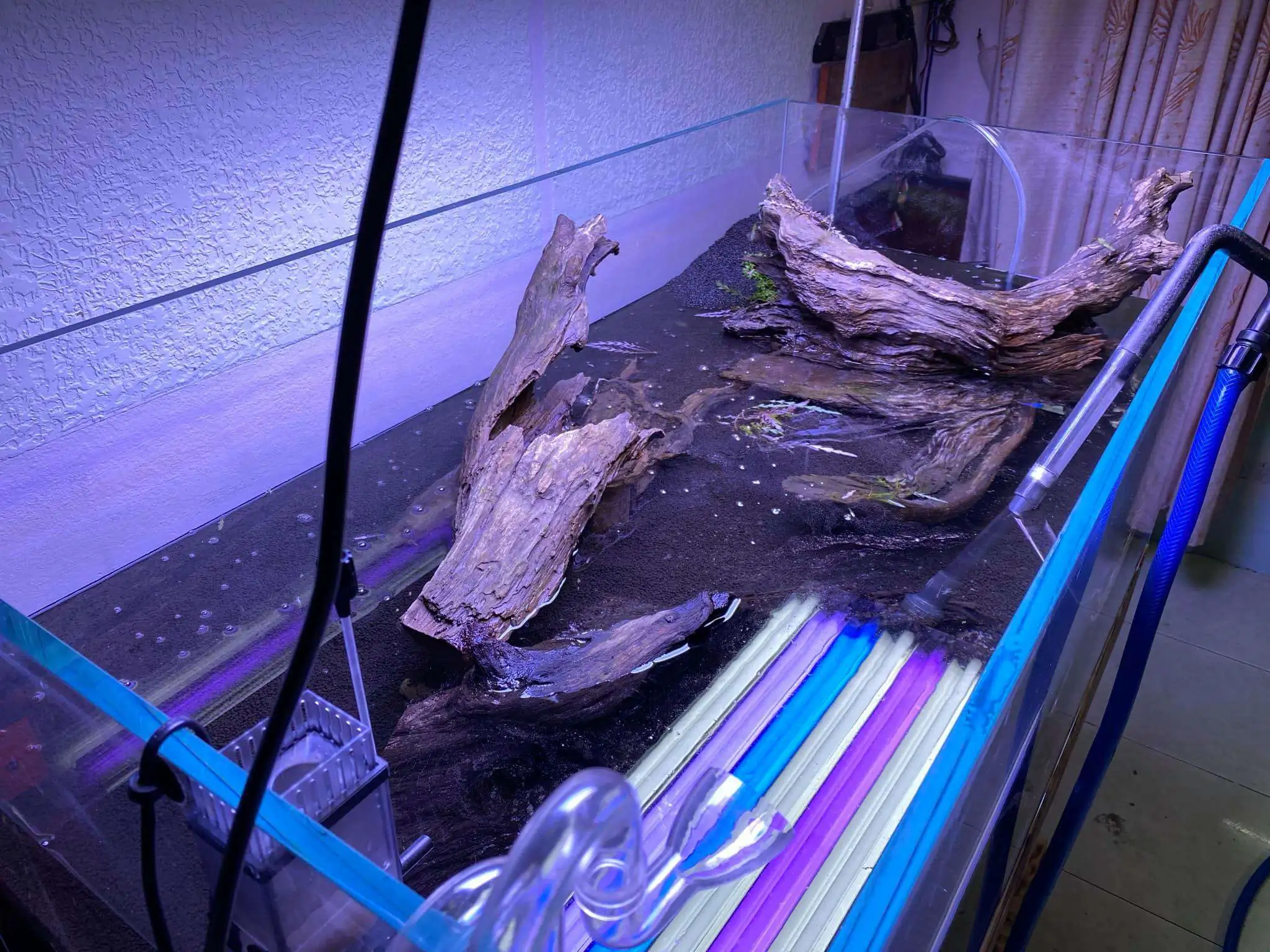 Step by step progression IAPLC 2021 Rank 74 - Go with the flow