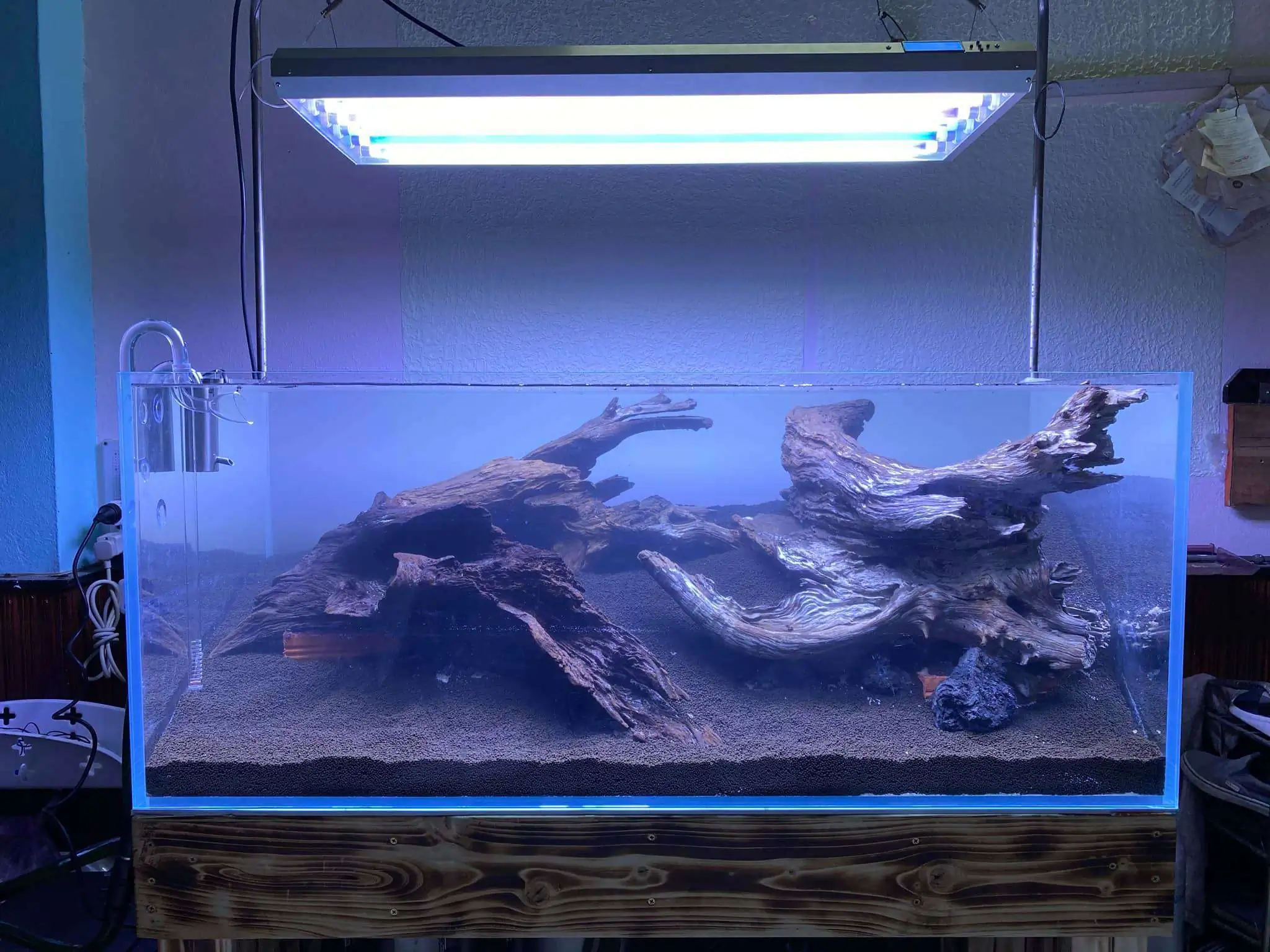 Step by step progression IAPLC 2021 Rank 74 - Go with the flow