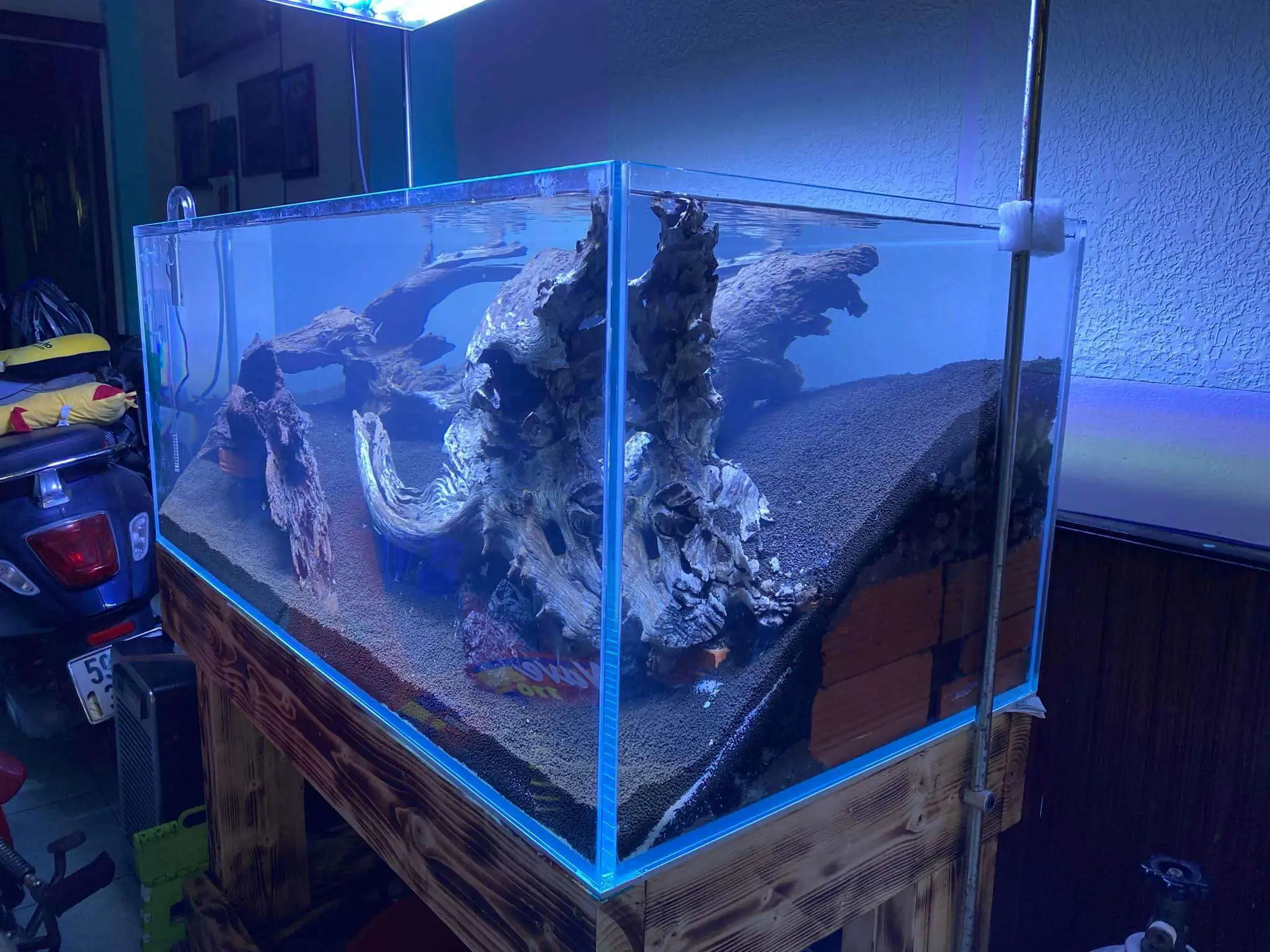 Step by step progression IAPLC 2021 Rank 74 - Go with the flow