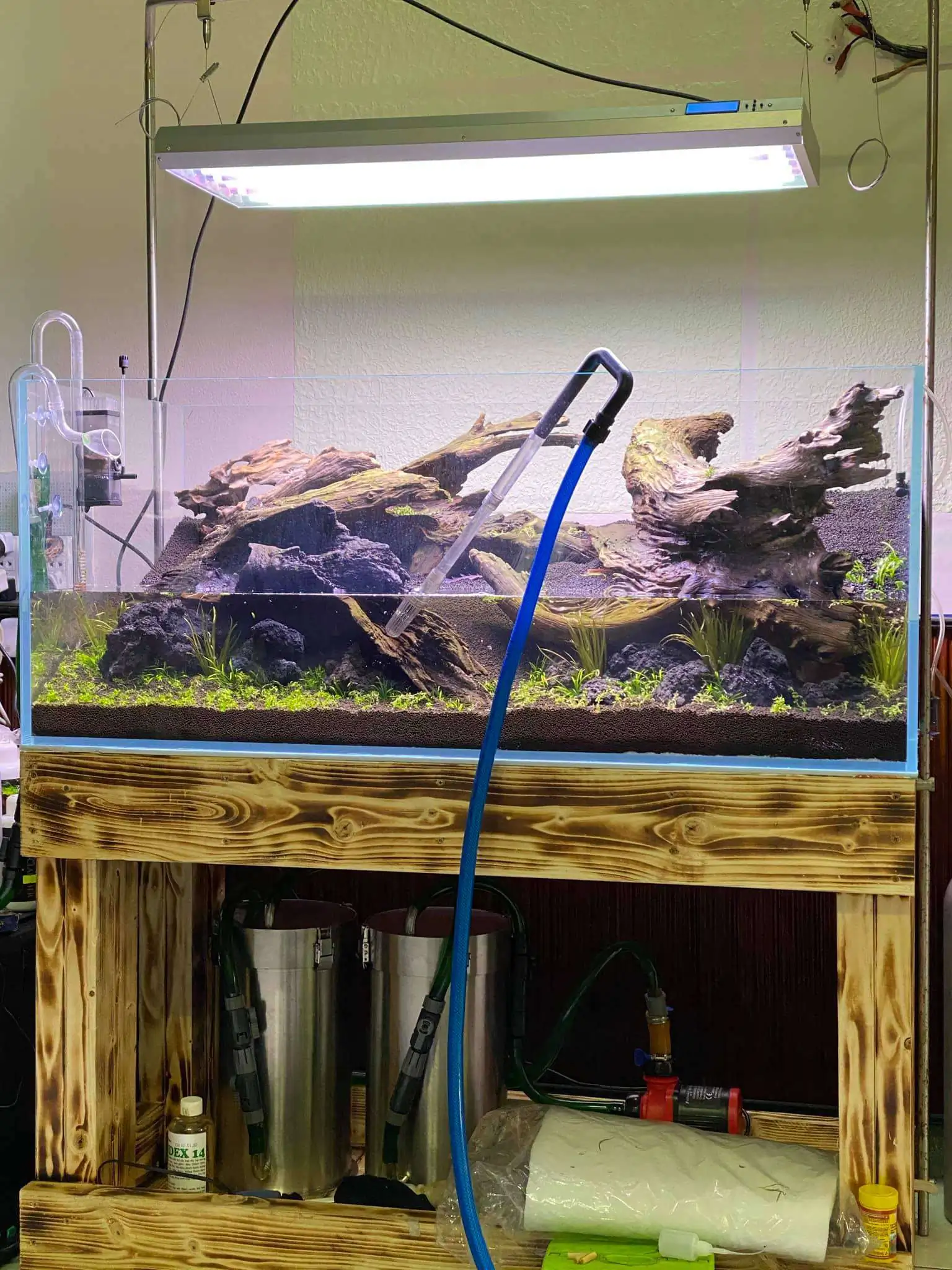 Step by step progression IAPLC 2021 Rank 74 - Go with the flow