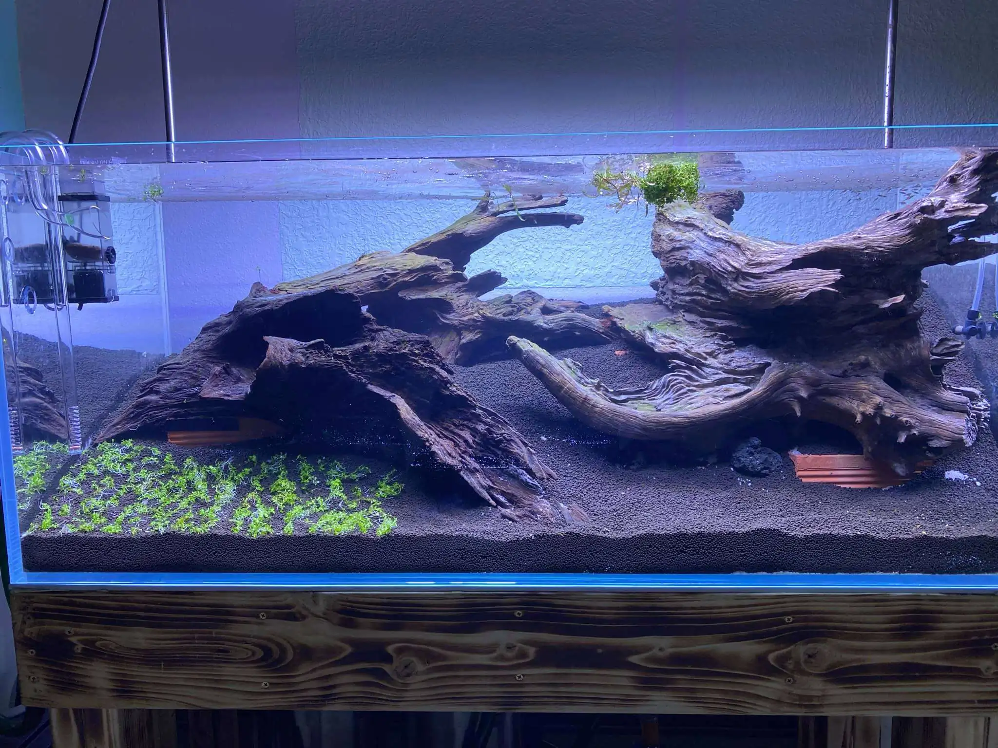 Step by step progression IAPLC 2021 Rank 74 - Go with the flow