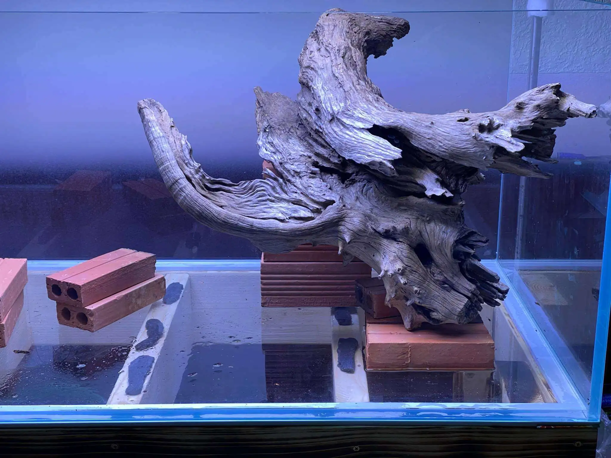 Step by step progression IAPLC 2021 Rank 74 - Go with the flow