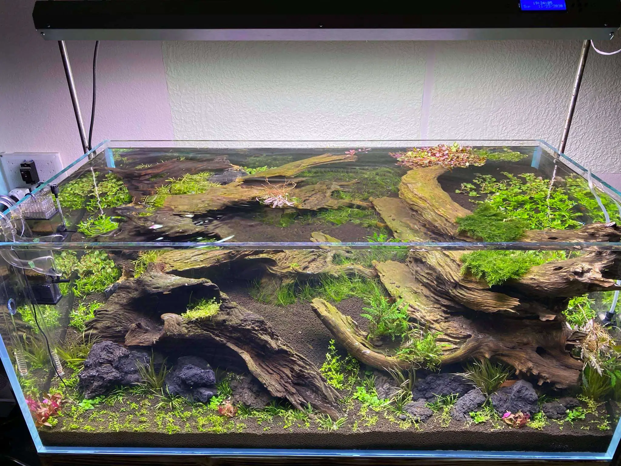 Step by step progression IAPLC 2021 Rank 74 - Go with the flow