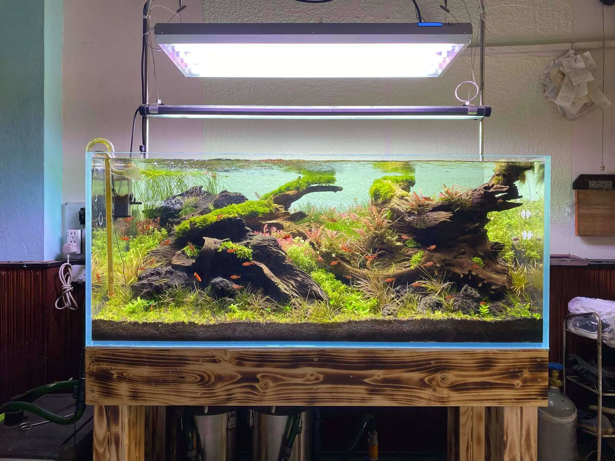 Step by step progression IAPLC 2021 Rank 74 - Go with the flow