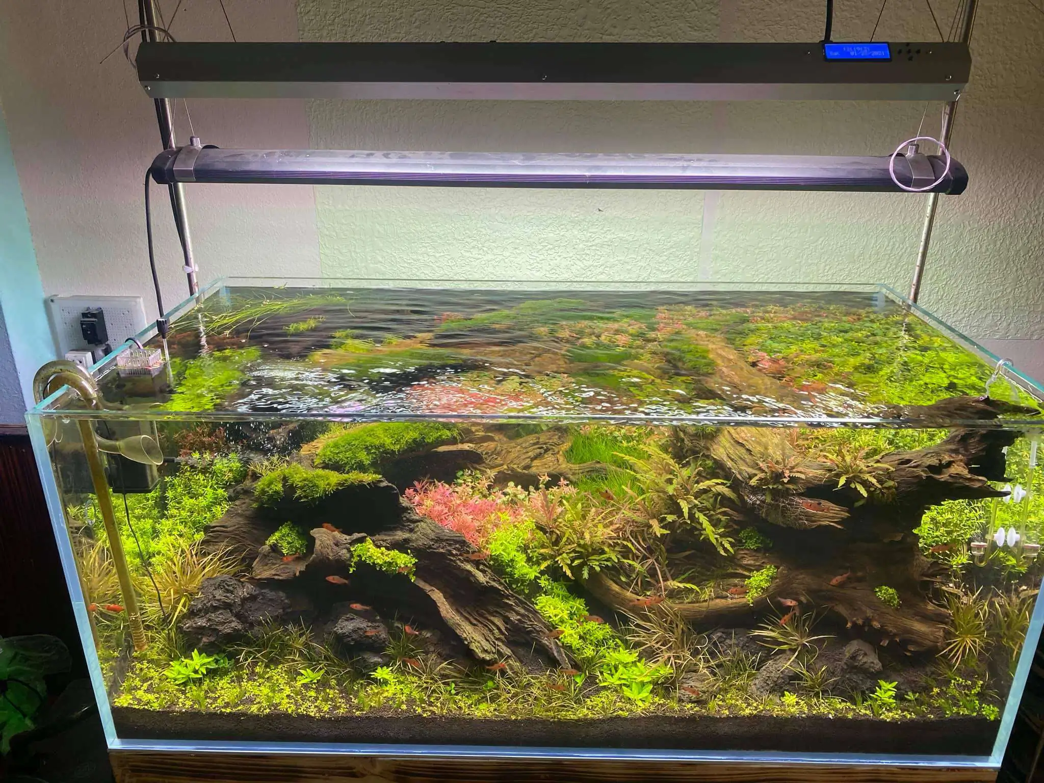 Step by step progression IAPLC 2021 Rank 74 - Go with the flow