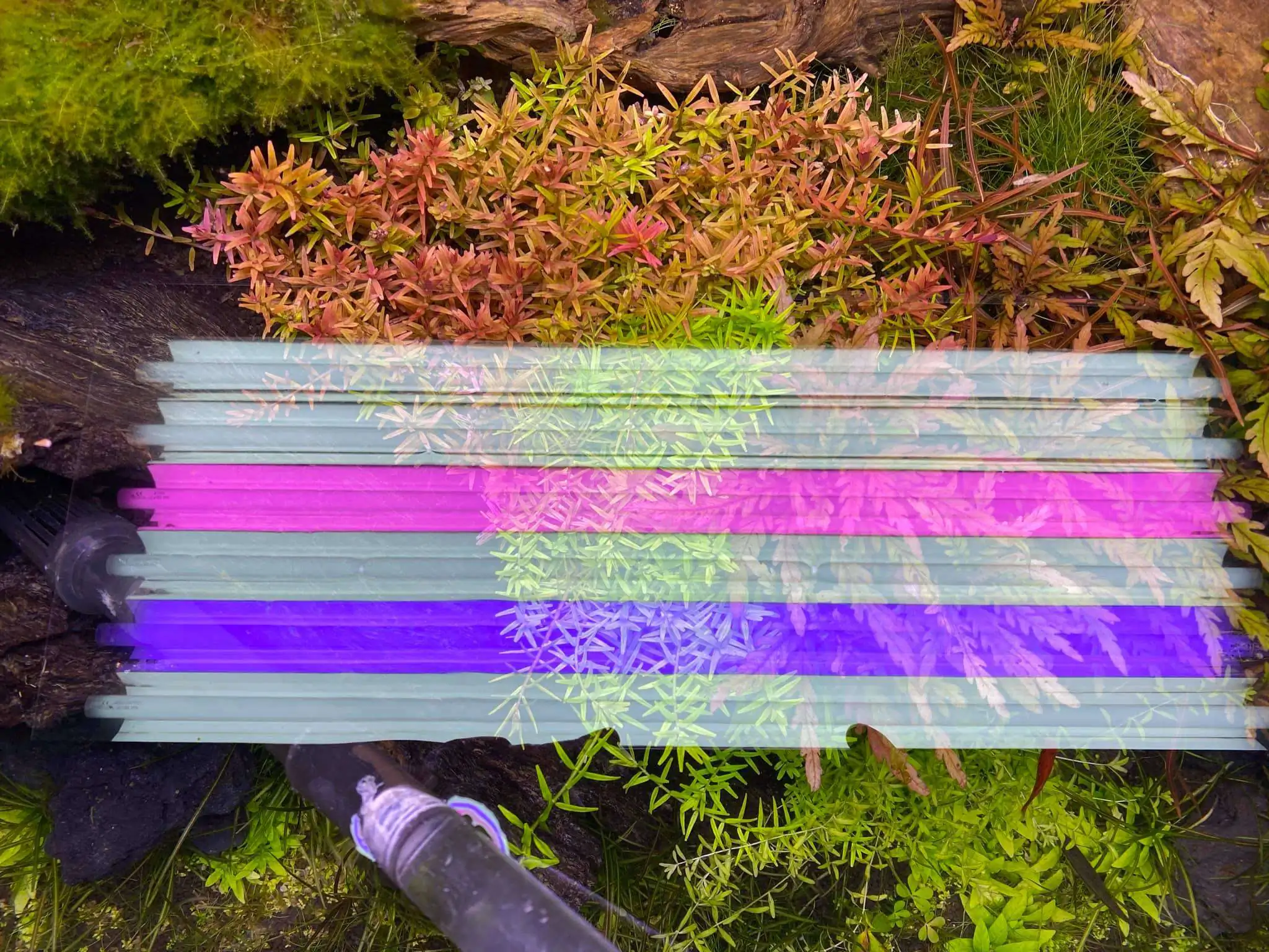 Step by step progression IAPLC 2021 Rank 74 - Go with the flow