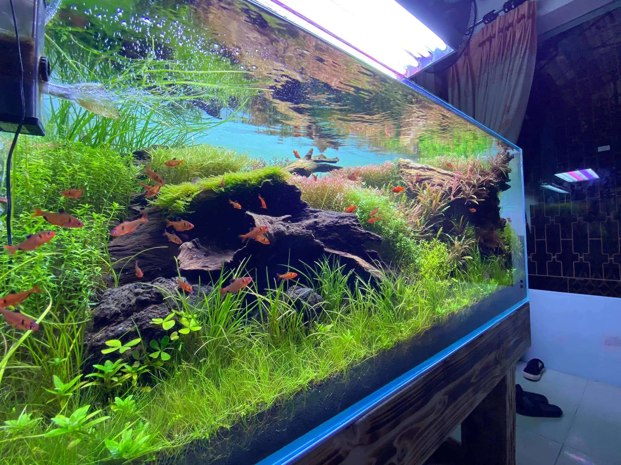 Step by step progression IAPLC 2021 Rank 74 - Go with the flow