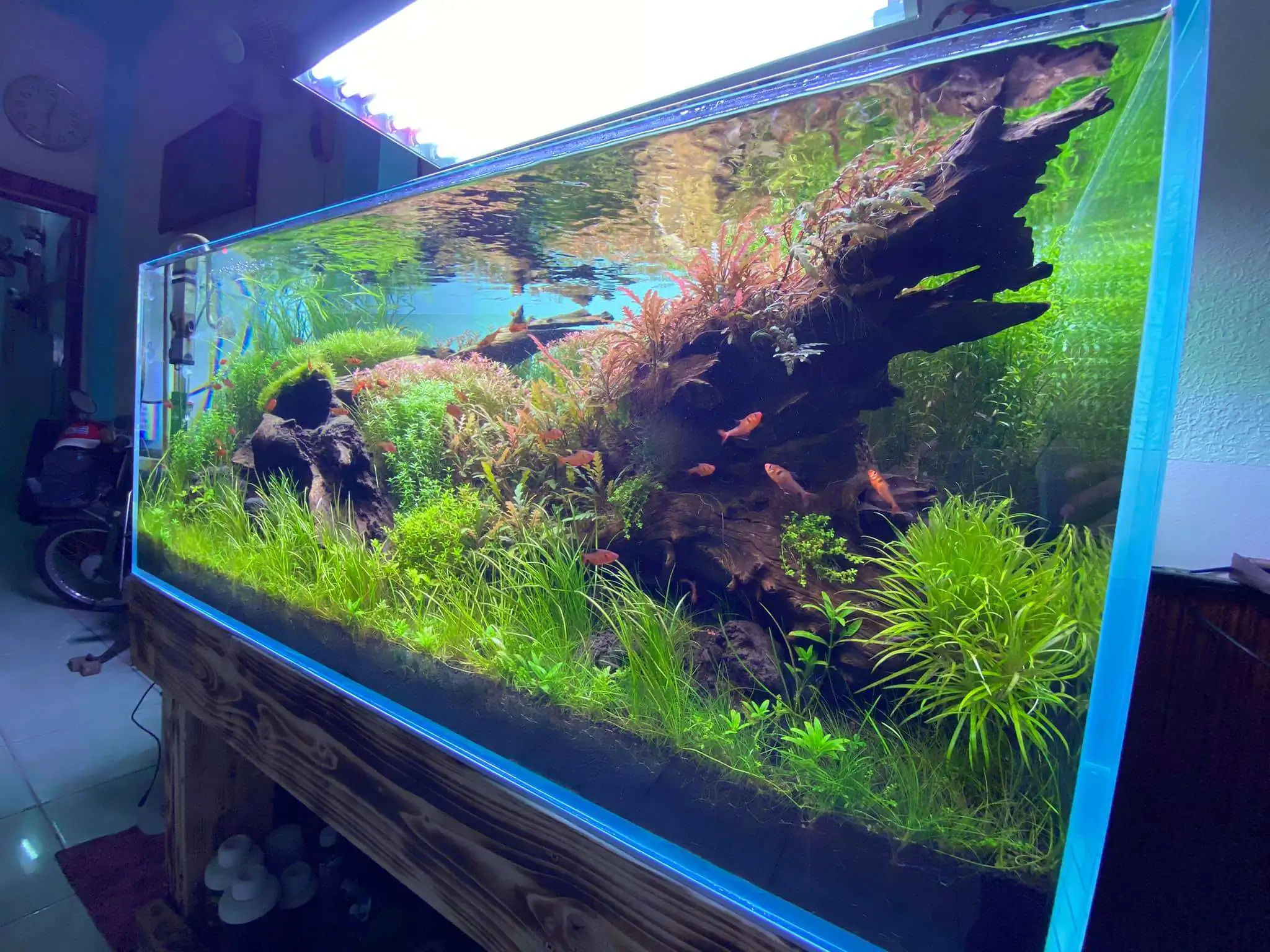 Step by step progression IAPLC 2021 Rank 74 - Go with the flow