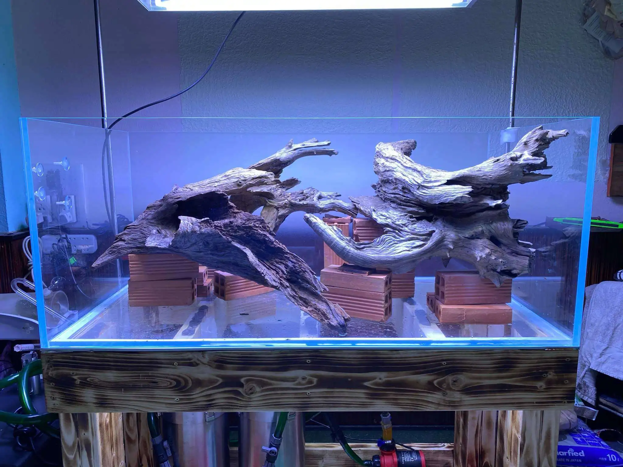 Step by step progression IAPLC 2021 Rank 74 - Go with the flow