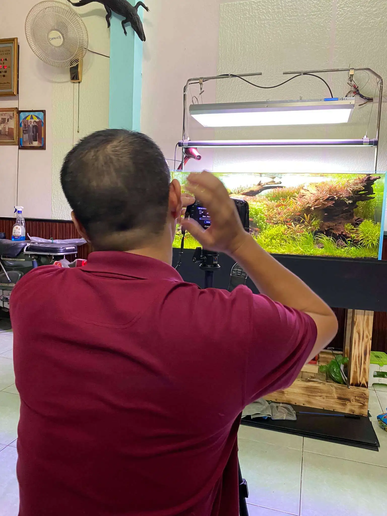 Step by step progression IAPLC 2021 Rank 74 - Go with the flow